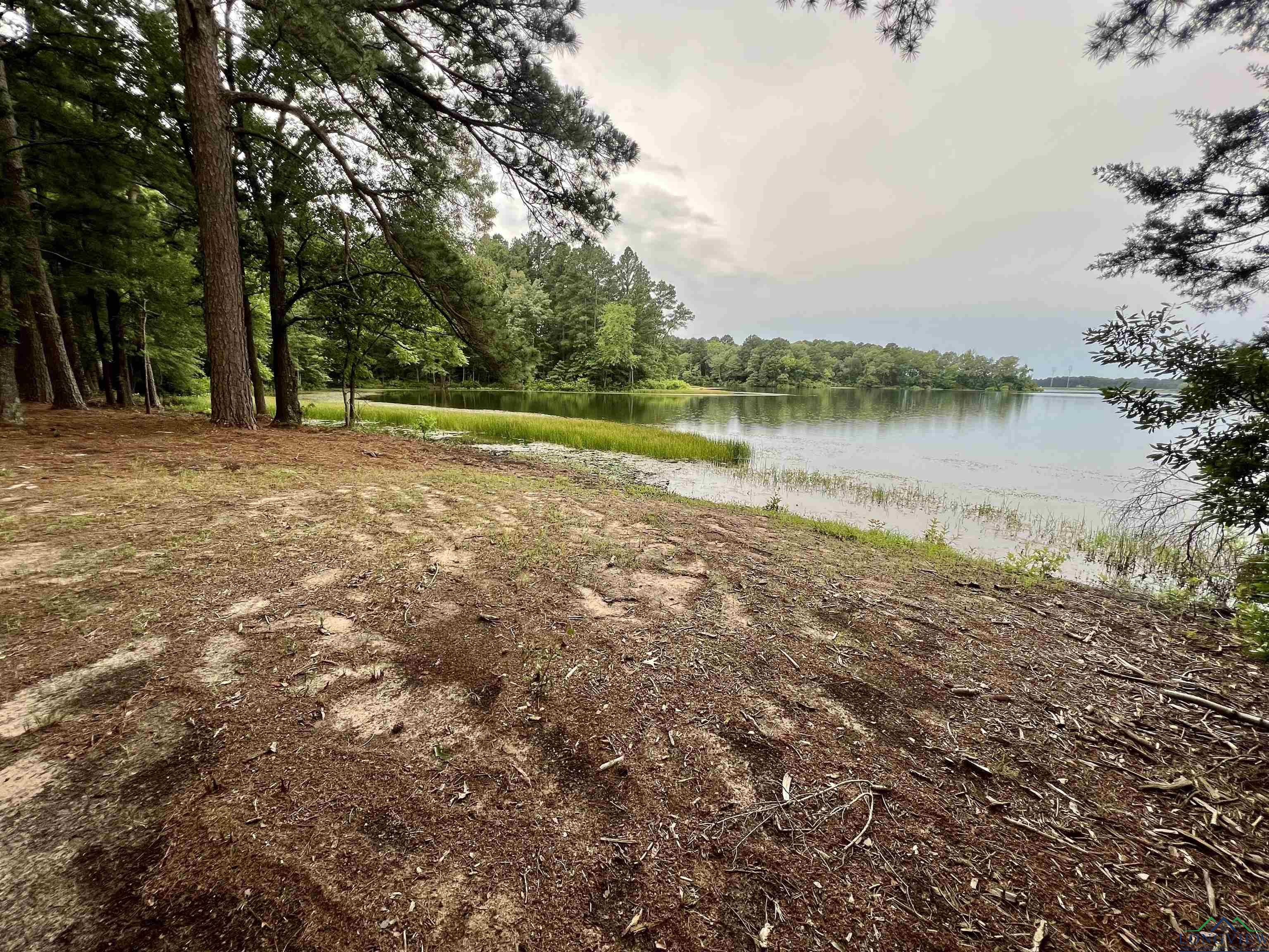 4770 County Road 4875, Pittsburg, Texas image 10