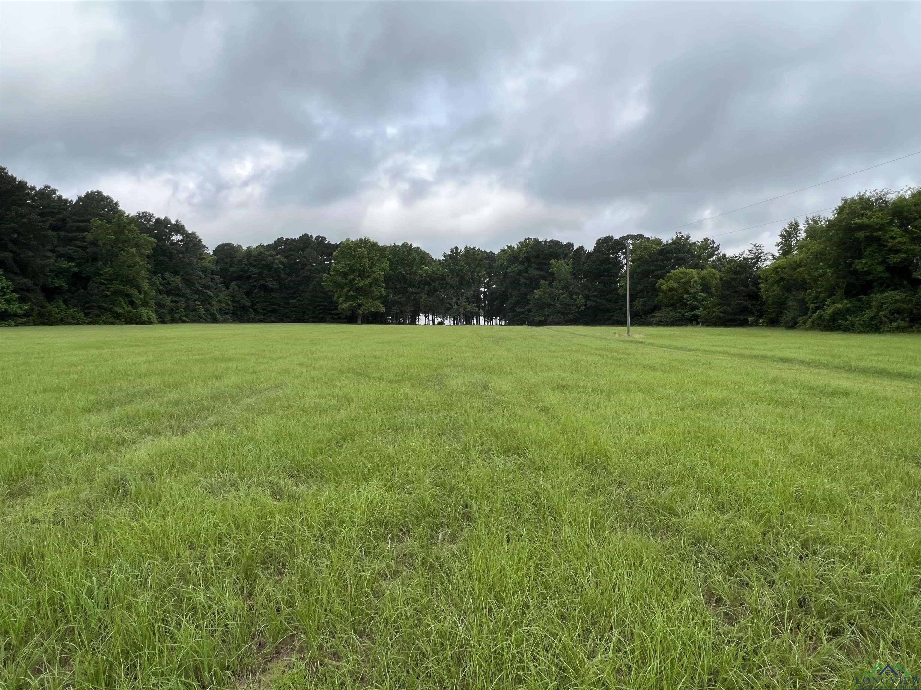 4770 County Road 4875, Pittsburg, Texas image 5