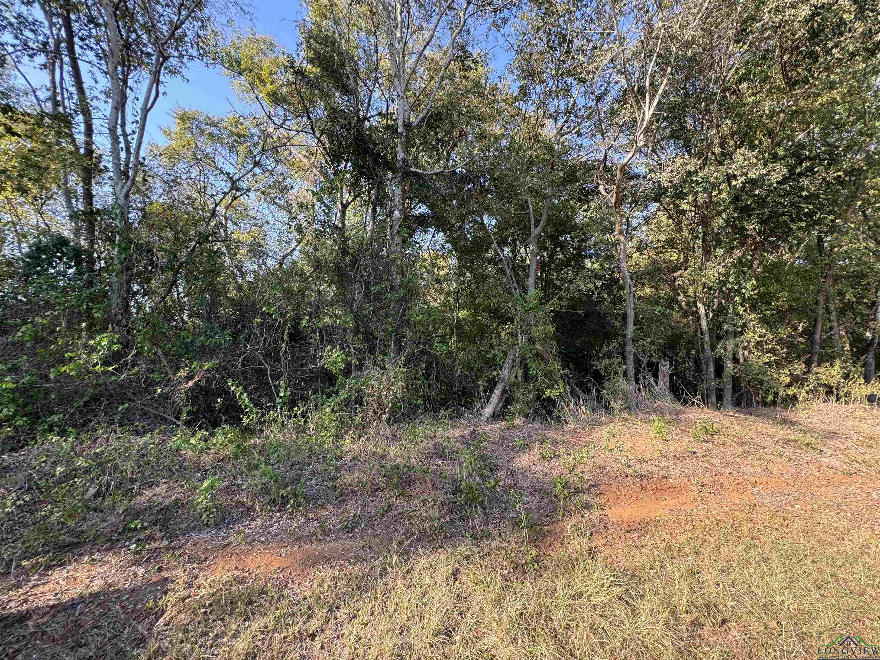 TBD Cr 4187, Henderson, Texas image 1