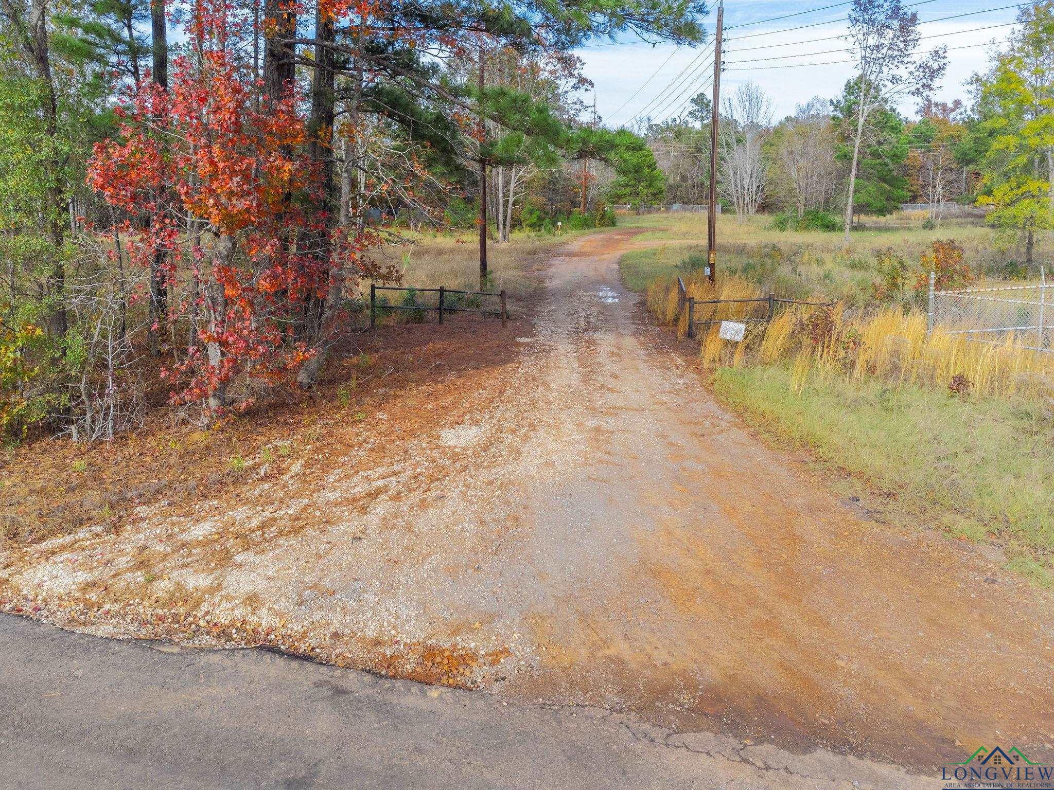 TBD Cherokee Trace, White Oak, Texas image 1