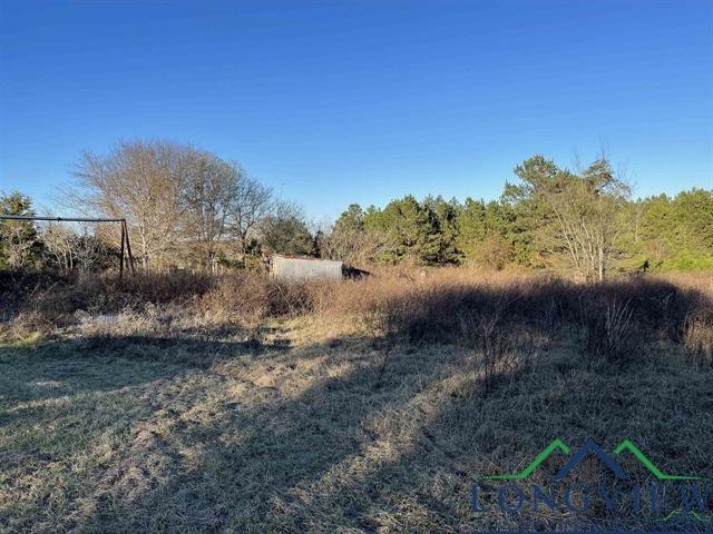 947 Almond Road, Big Sandy, Texas image 6