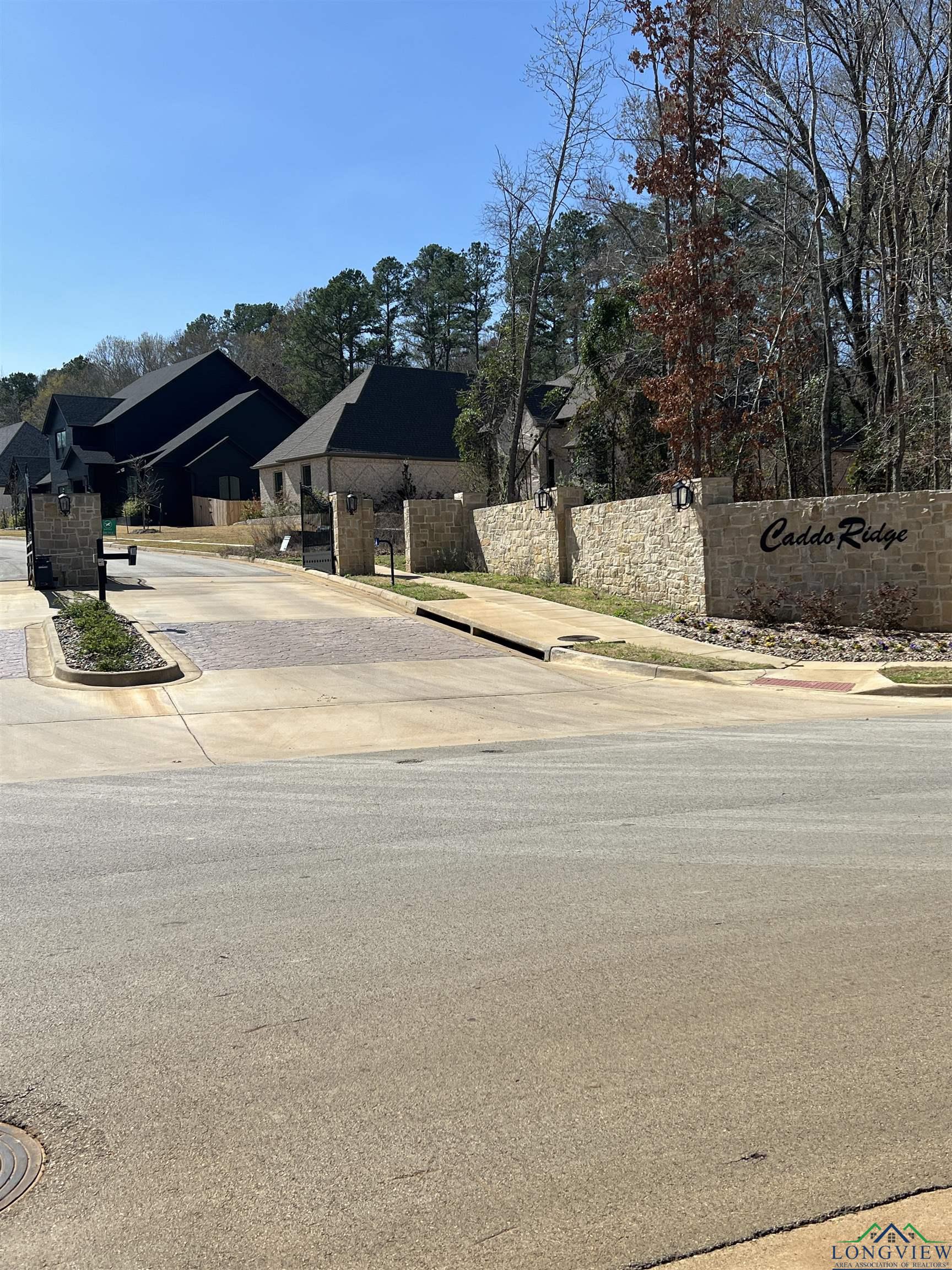9295 Caddo Ridge Cove, Tyler, Texas image 5