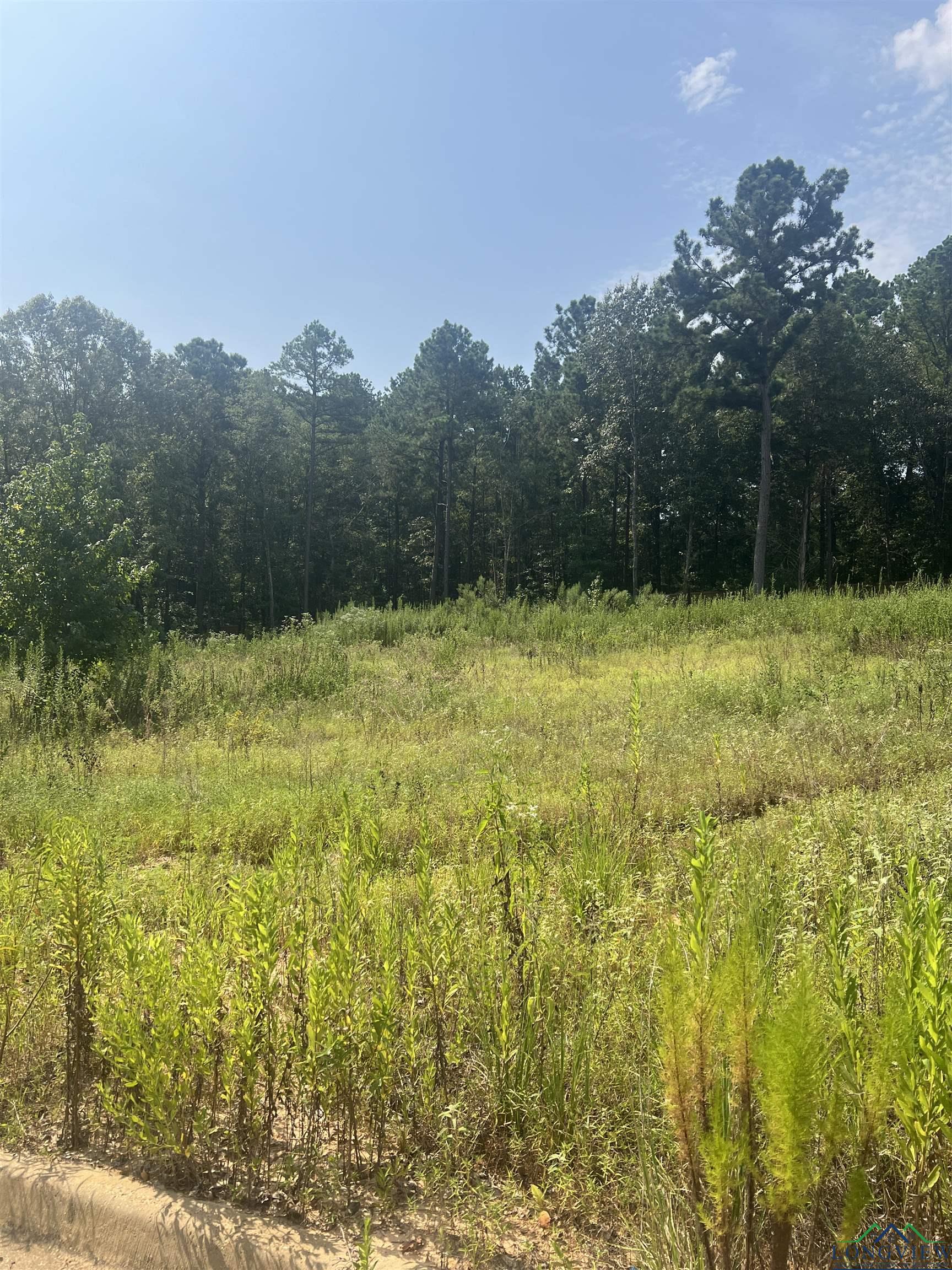 9295 Caddo Ridge Cove, Tyler, Texas image 3