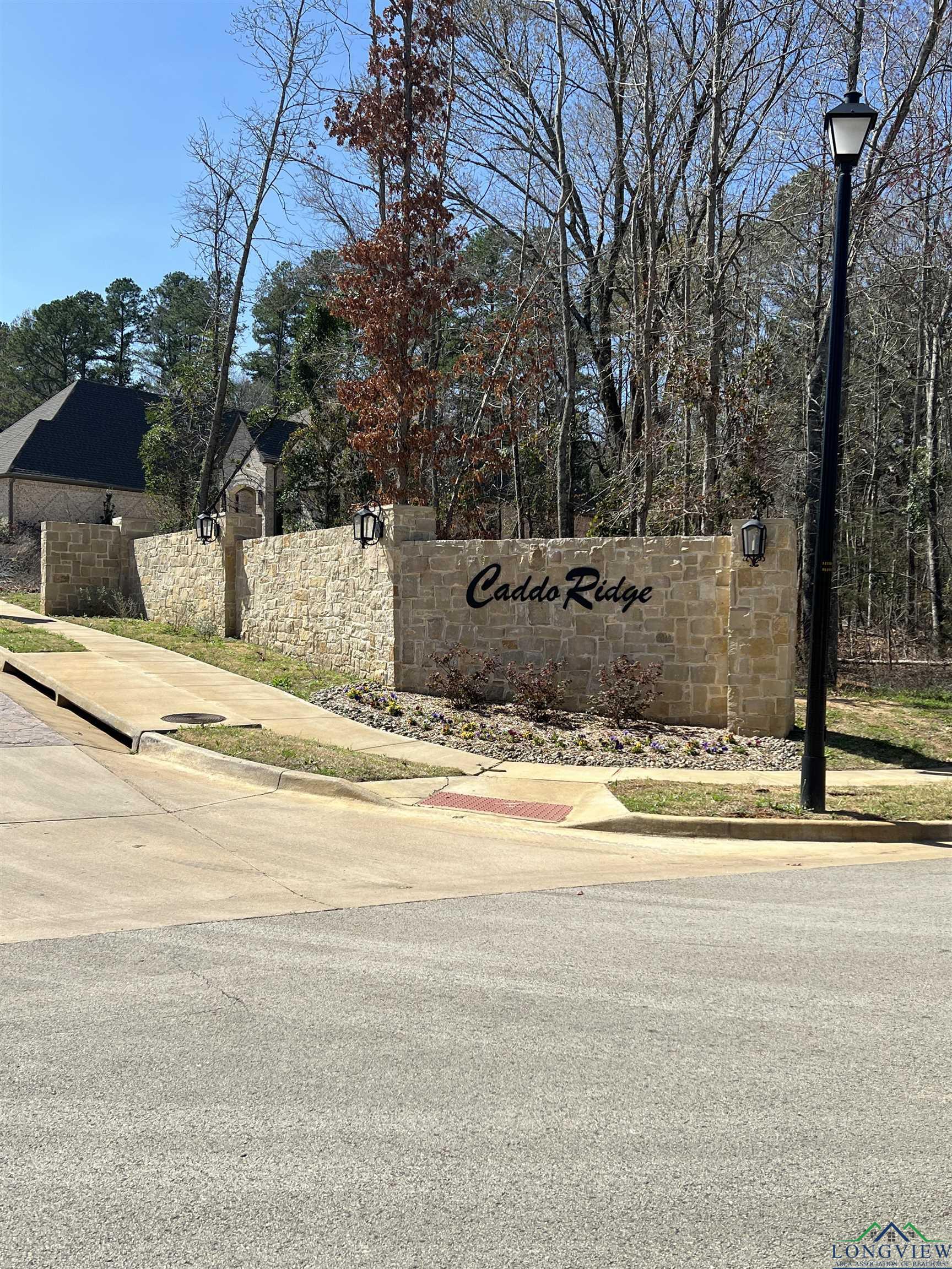 9295 Caddo Ridge Cove, Tyler, Texas image 2