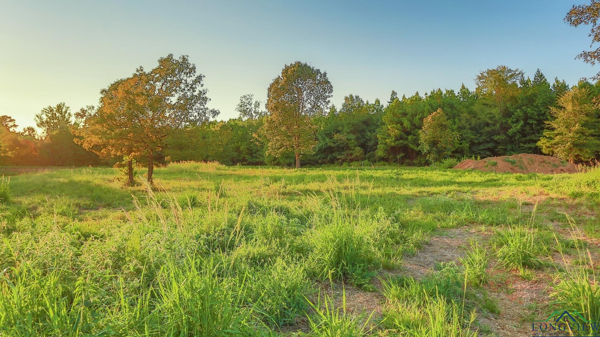 TBD Majestic Oaks, De Berry, Texas image 7