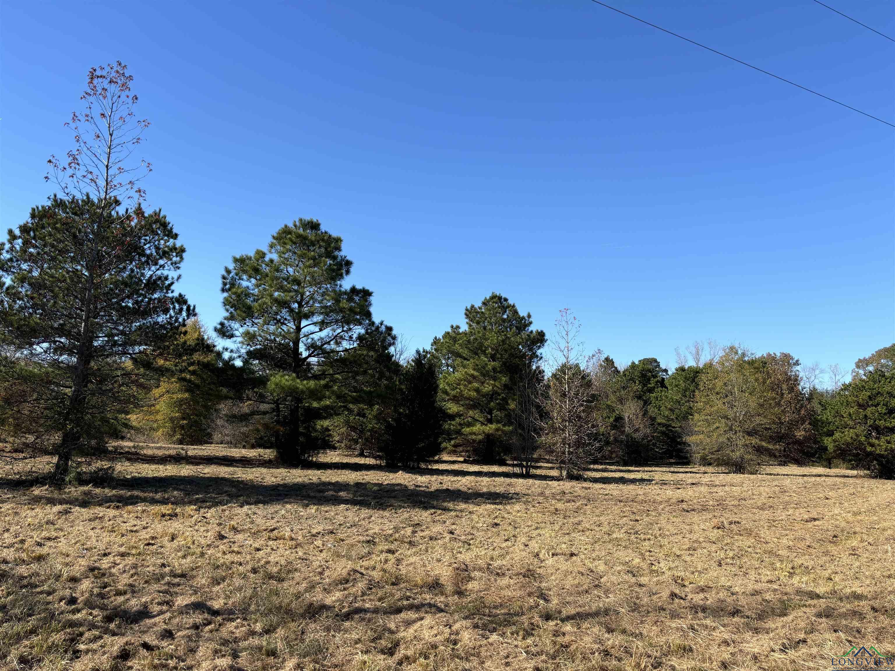 133 Scoggins Ln, Marietta, Texas image 12