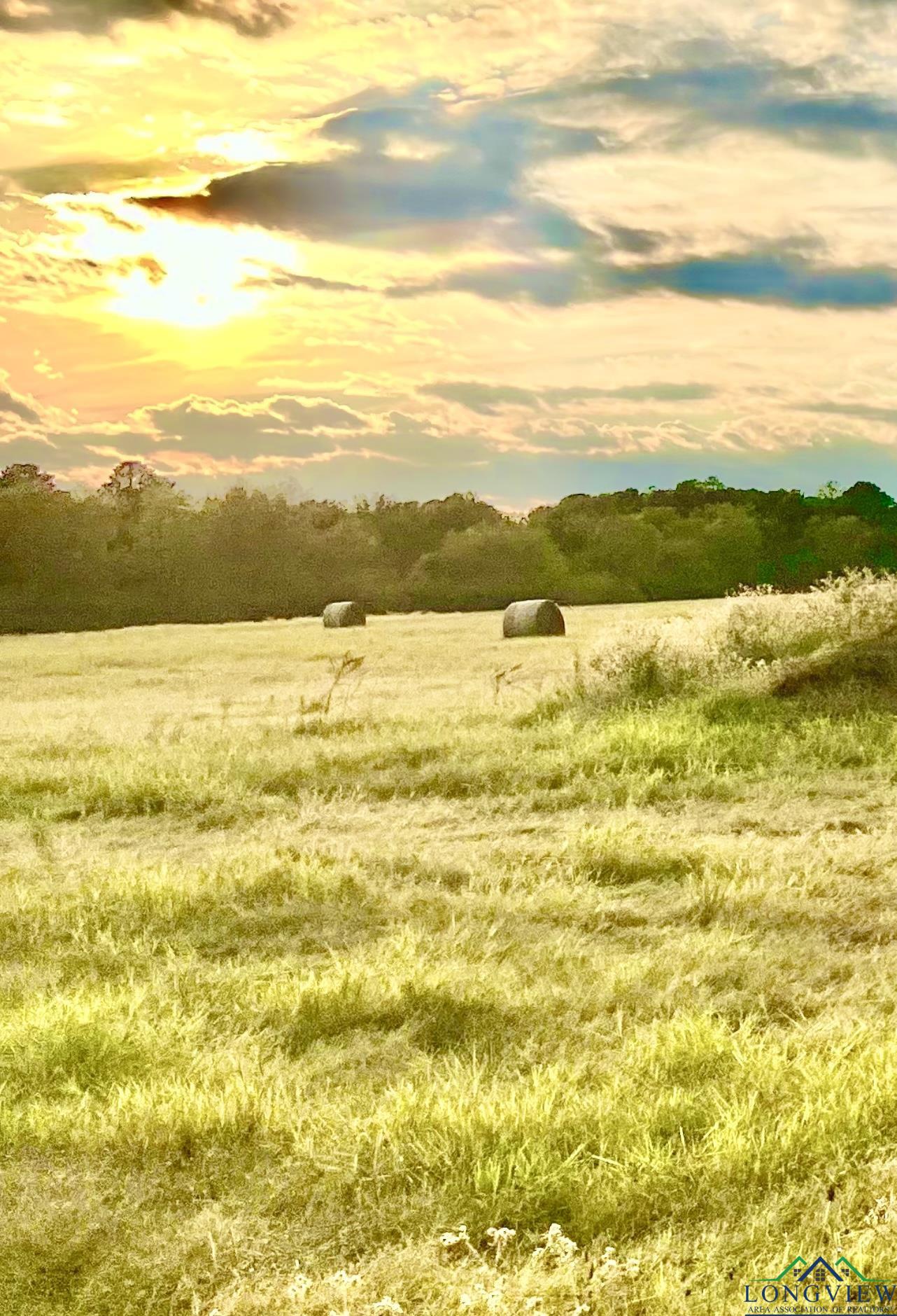 LOT 19 A Brightside Trl, Kilgore, Texas image 8