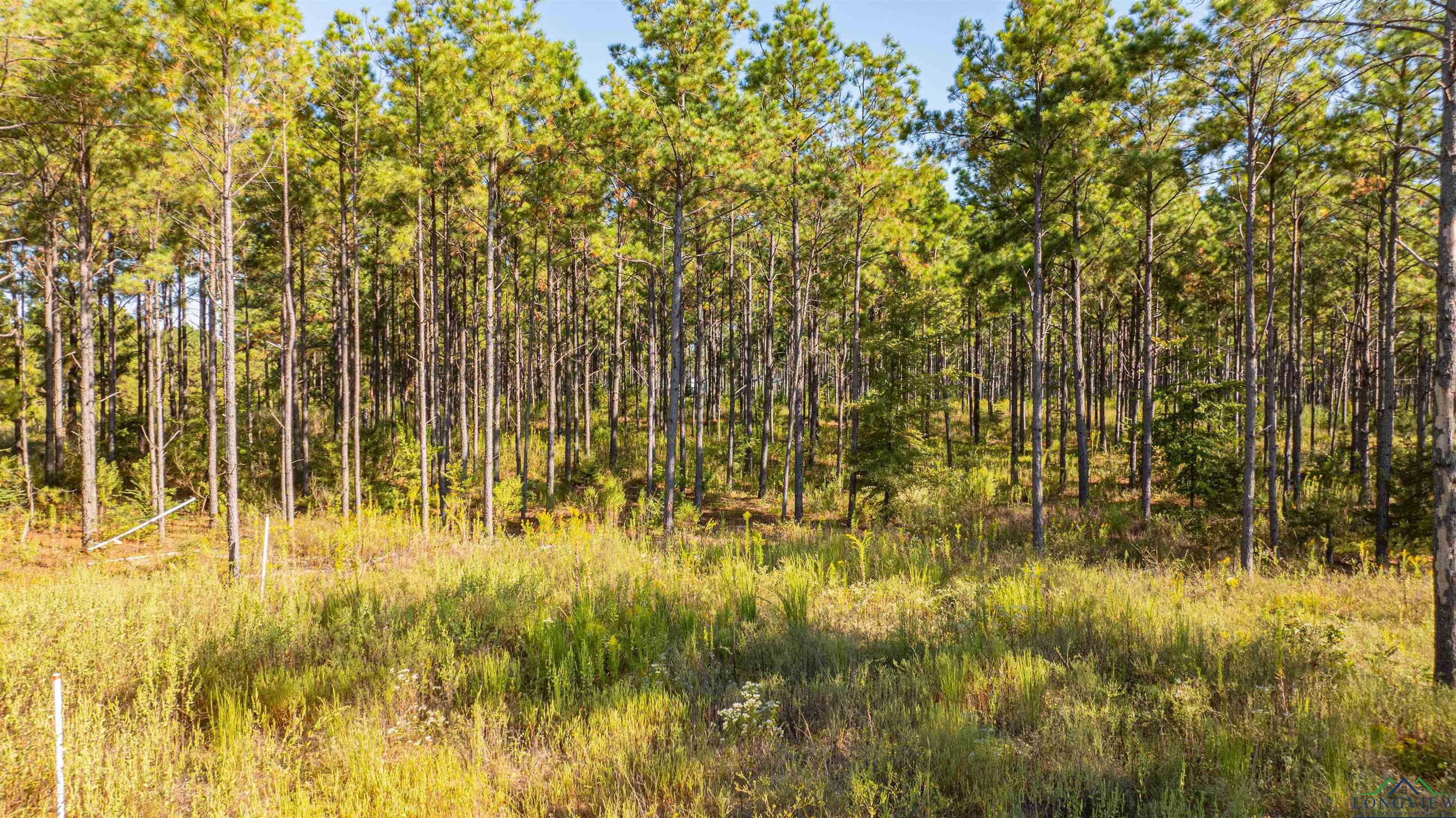 TBD Waldrons Ferry Tract#4, Hallsville, Texas image 1