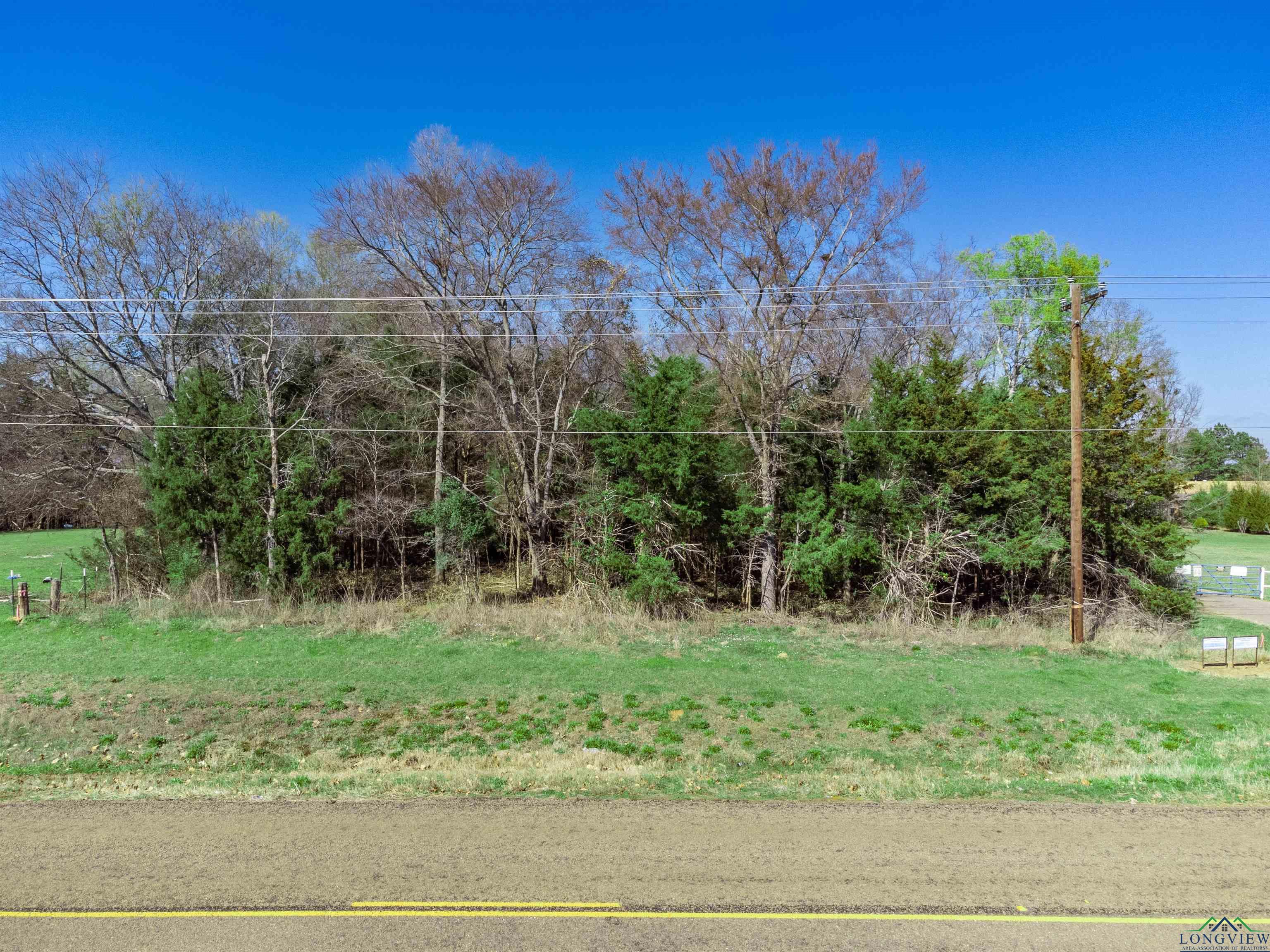 TBD Fm 2906, Longview, Texas image 1