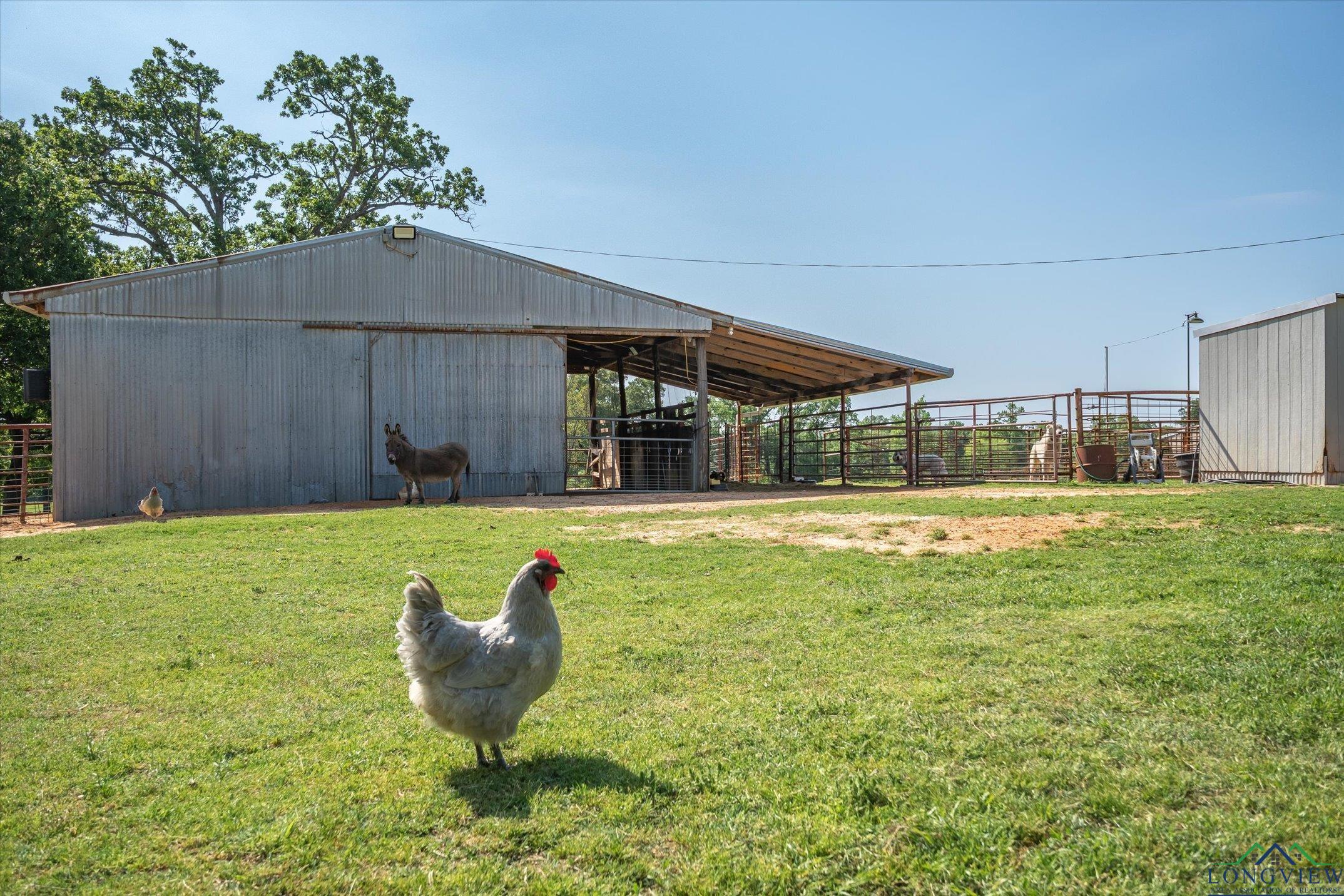 1226 Vz Cr 1211, Canton, Texas image 37