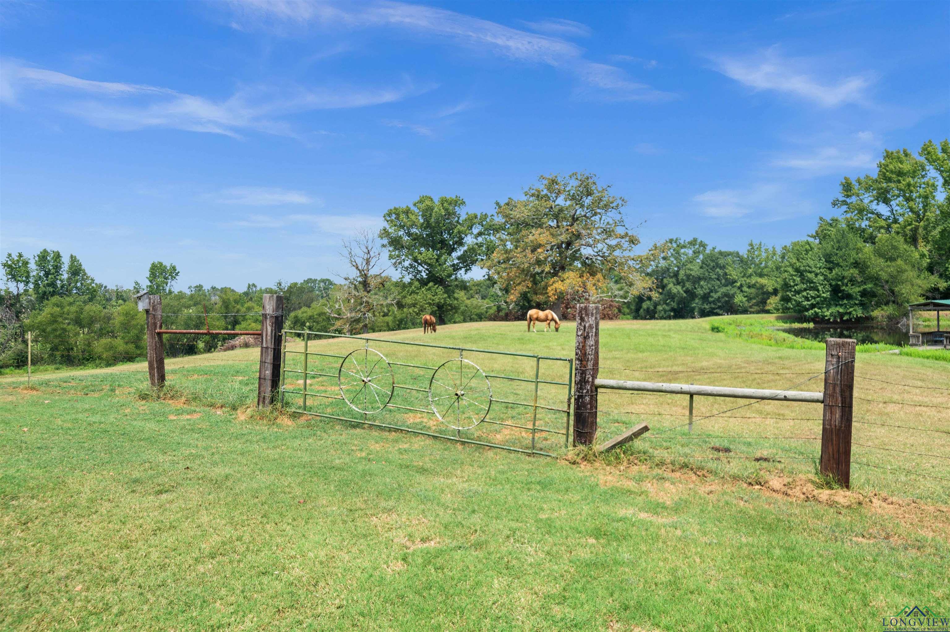 21331 Cr 4119, Lindale, Texas image 47