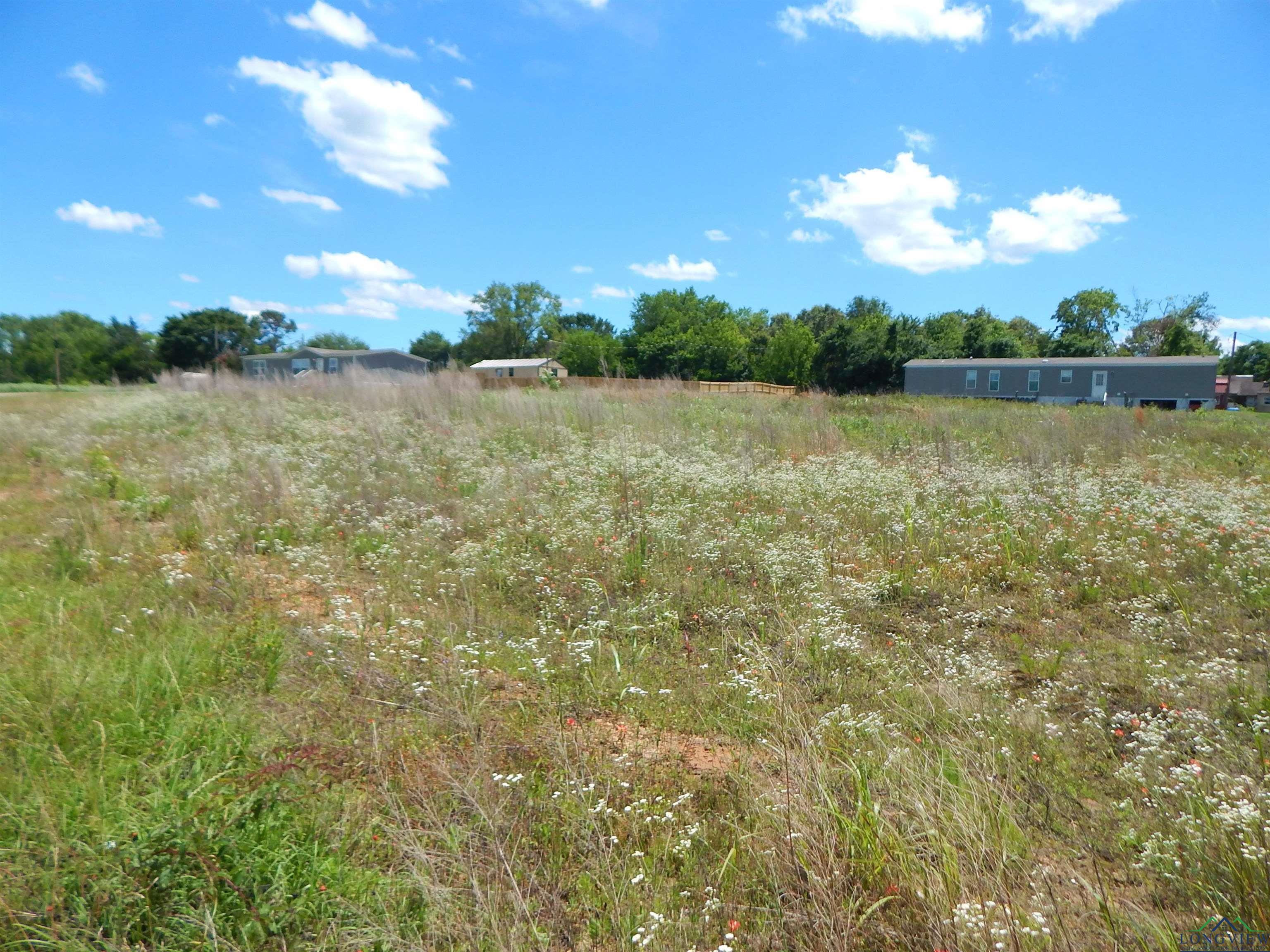 TBD LOT 7 Zela Rd, Gilmer, Texas image 7