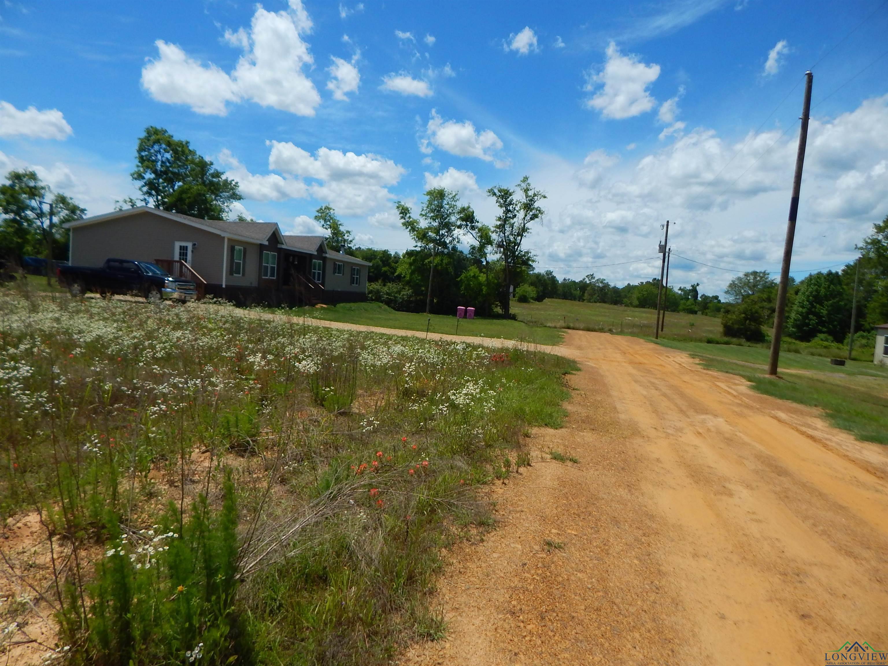 TBD LOT 7 Zela Rd, Gilmer, Texas image 6