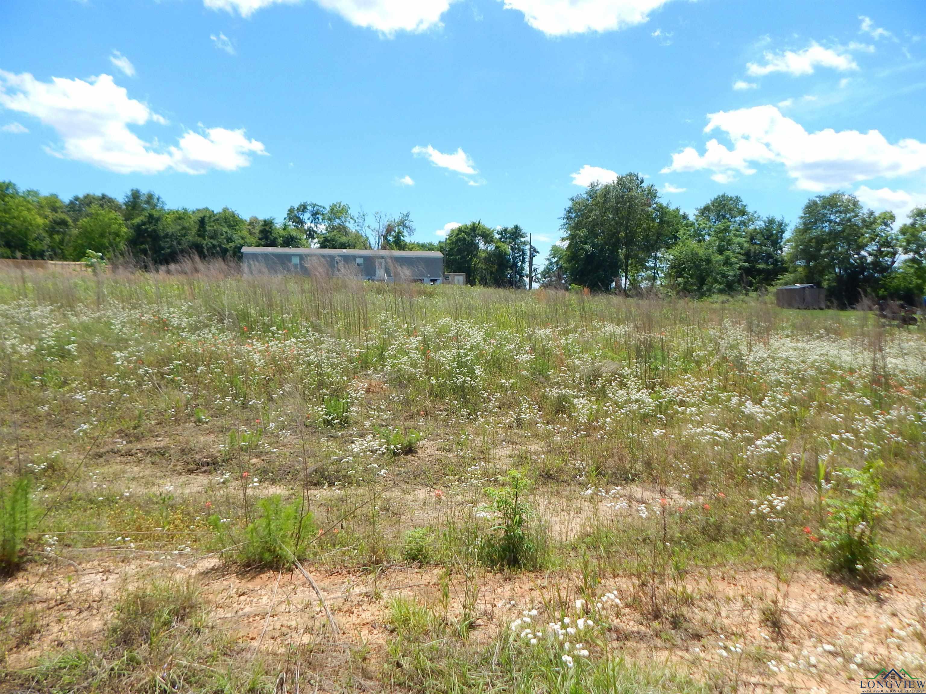 TBD LOT 7 Zela Rd, Gilmer, Texas image 2