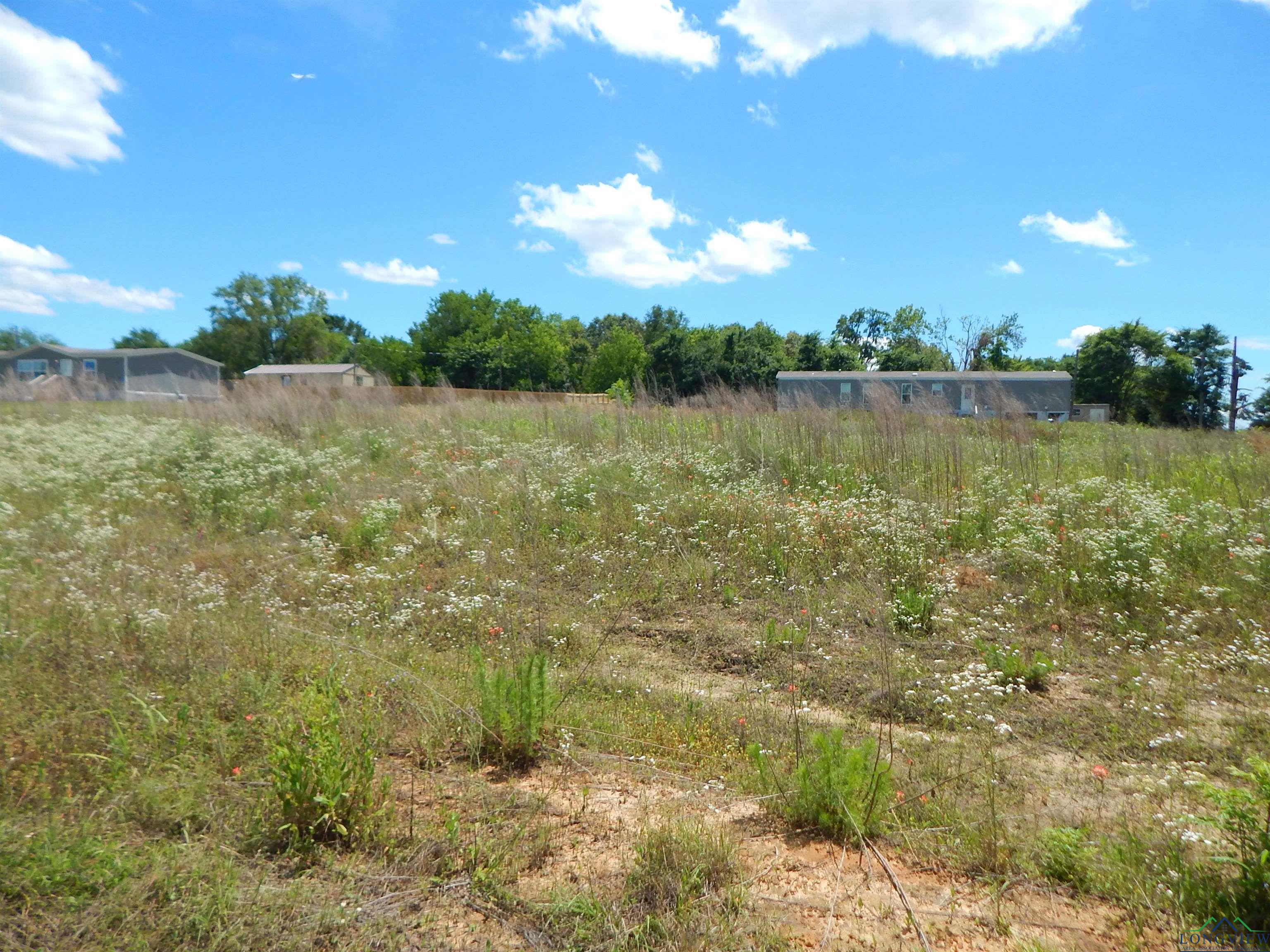 TBD LOT 7 Zela Rd, Gilmer, Texas image 3
