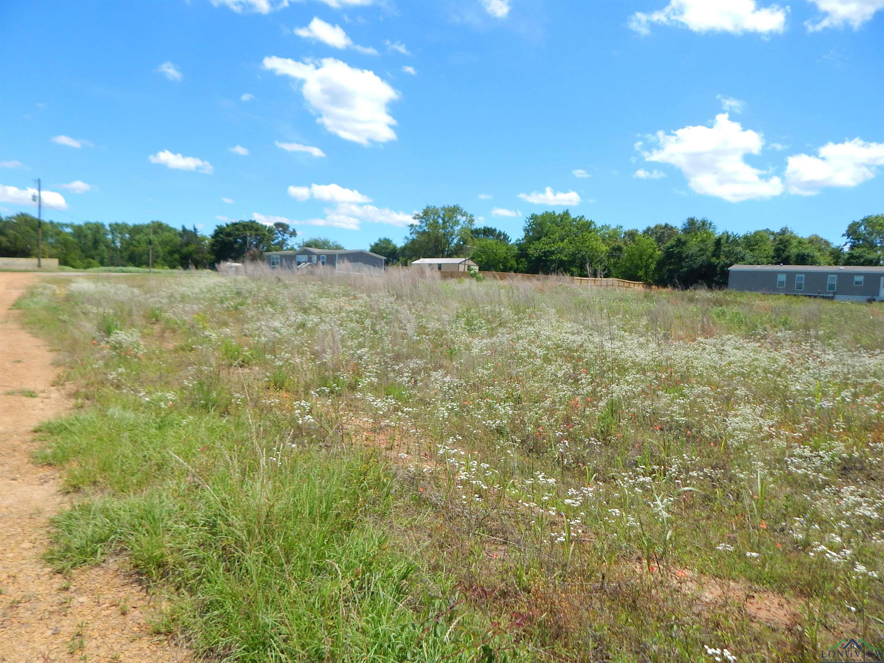 TBD LOT 7 Zela Rd, Gilmer, Texas image 1