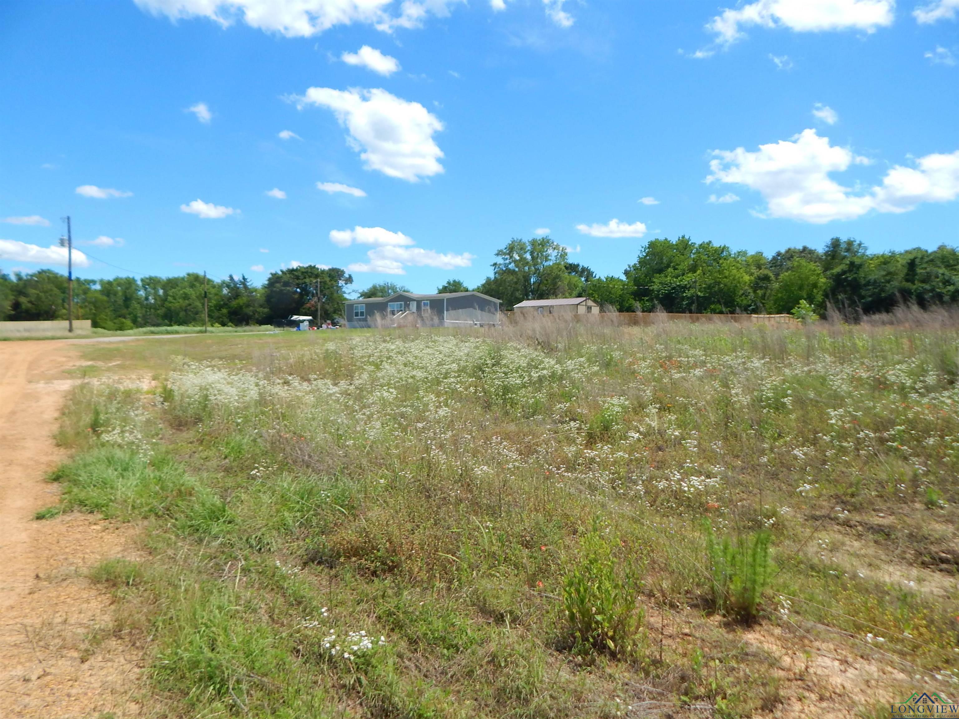TBD LOT 7 Zela Rd, Gilmer, Texas image 4