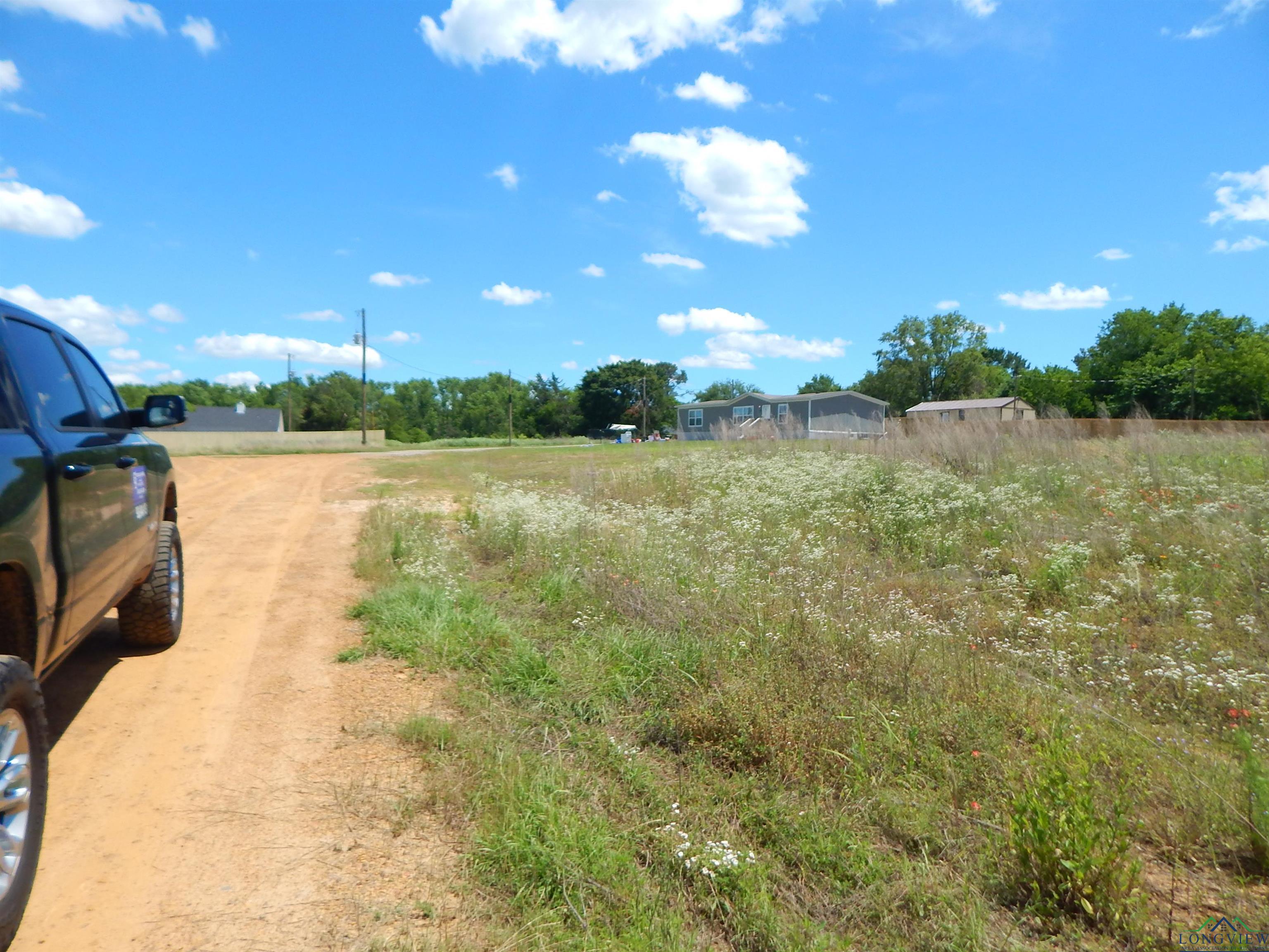 TBD LOT 7 Zela Rd, Gilmer, Texas image 5