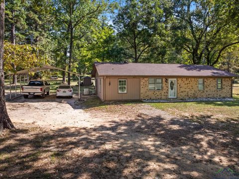 Homes For Sale - 2376 County Road 4119<br/> Morris County, Daingerfield, TX 75656
