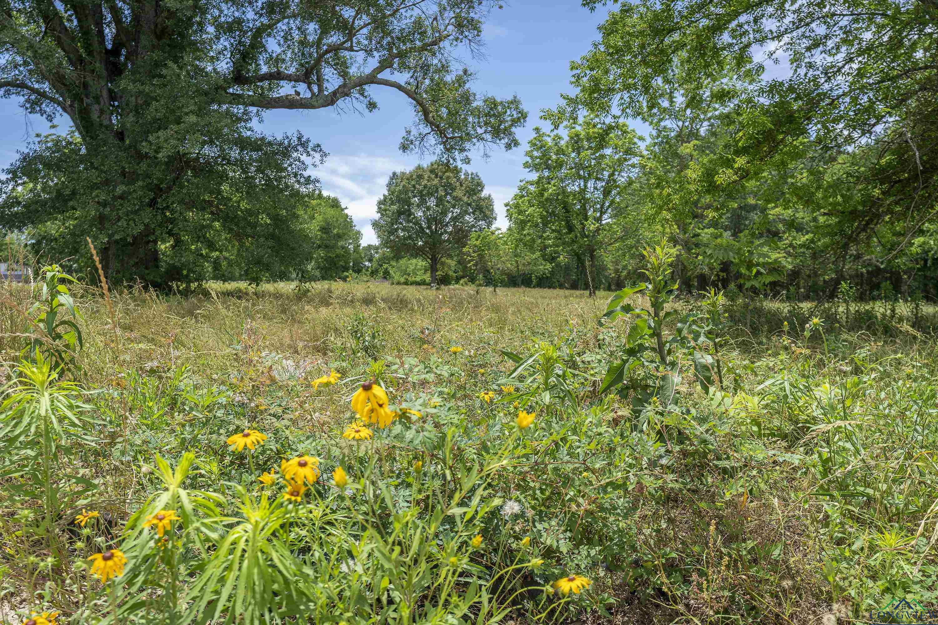 131 Mackey Rd, Longview, Texas image 7
