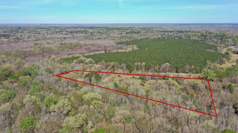 Vacant Land For Sale - TBD Cr 2513<br/> Cass County, Naples, TX 75568