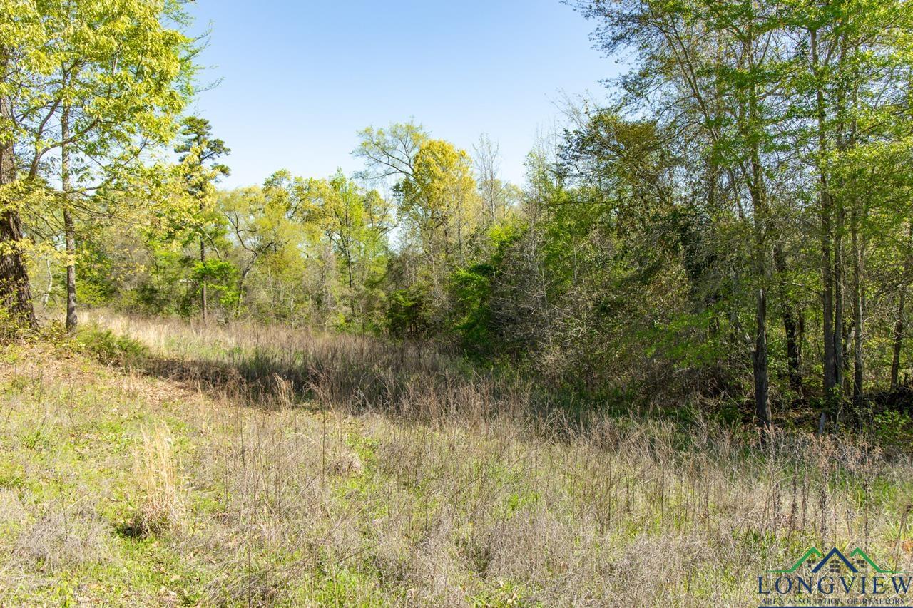 16808 Ridgeline Loop, Winona, Texas image 9