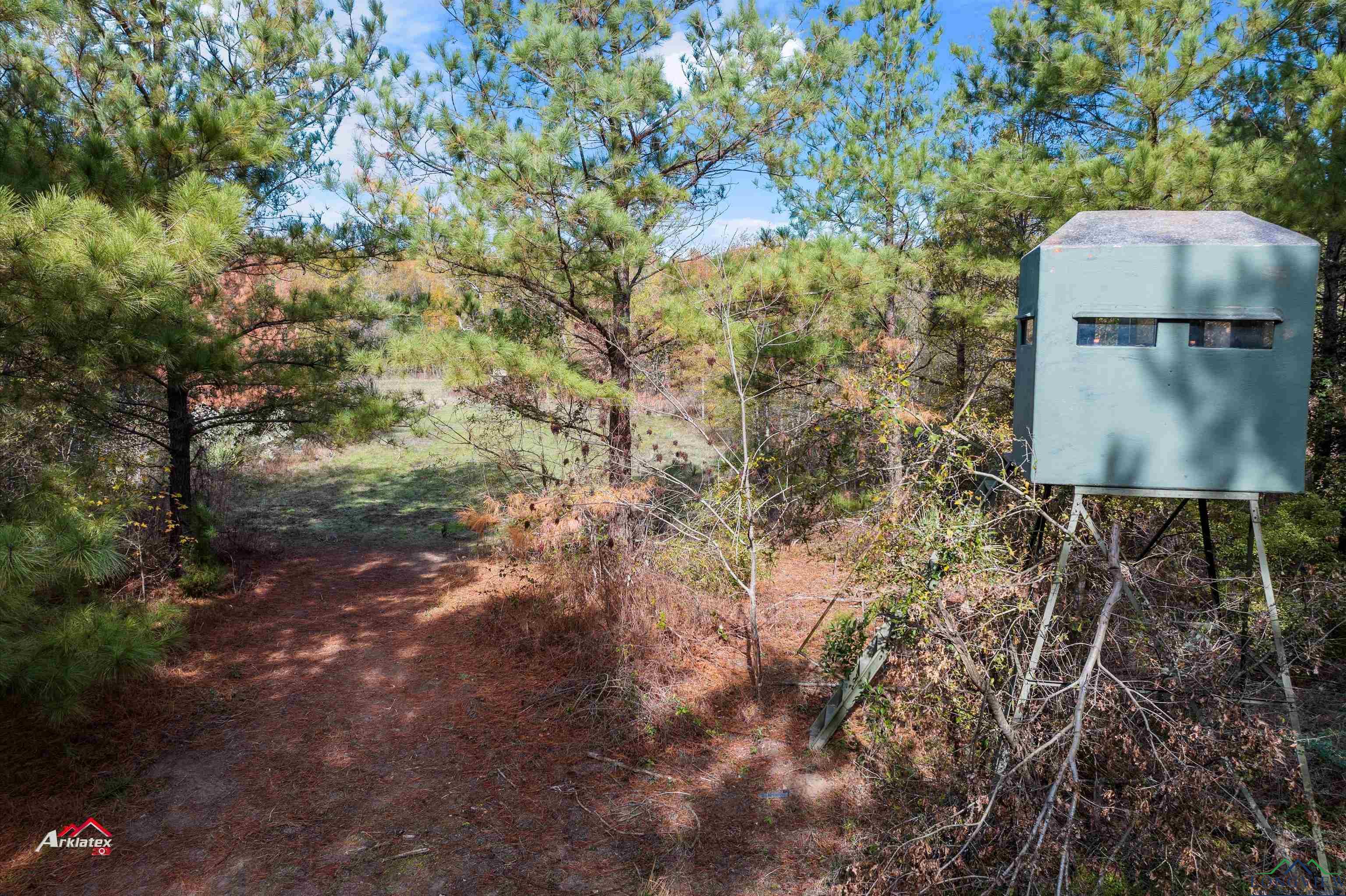 TBD Lyles St, Big Sandy, Texas image 9