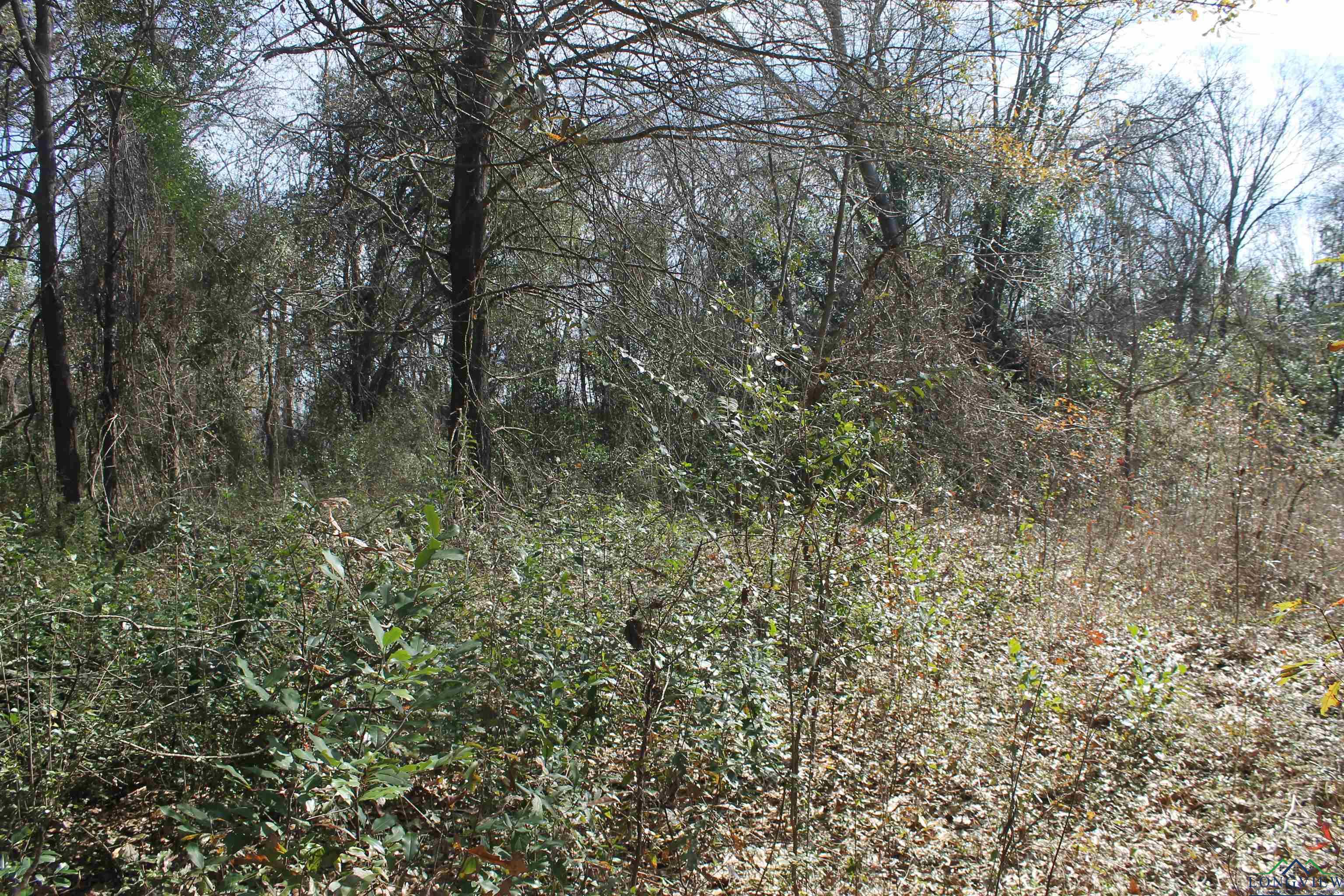 2514 Port Caddo Road, Marshall, Ohio image 5