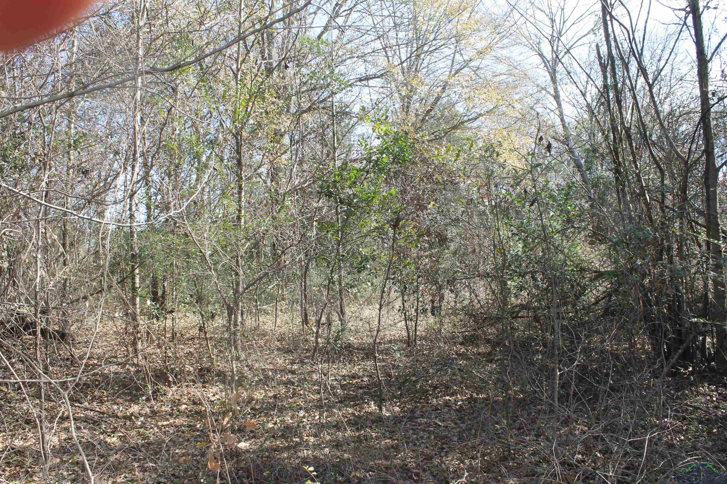 2514 Port Caddo Road, Marshall, Ohio image 3