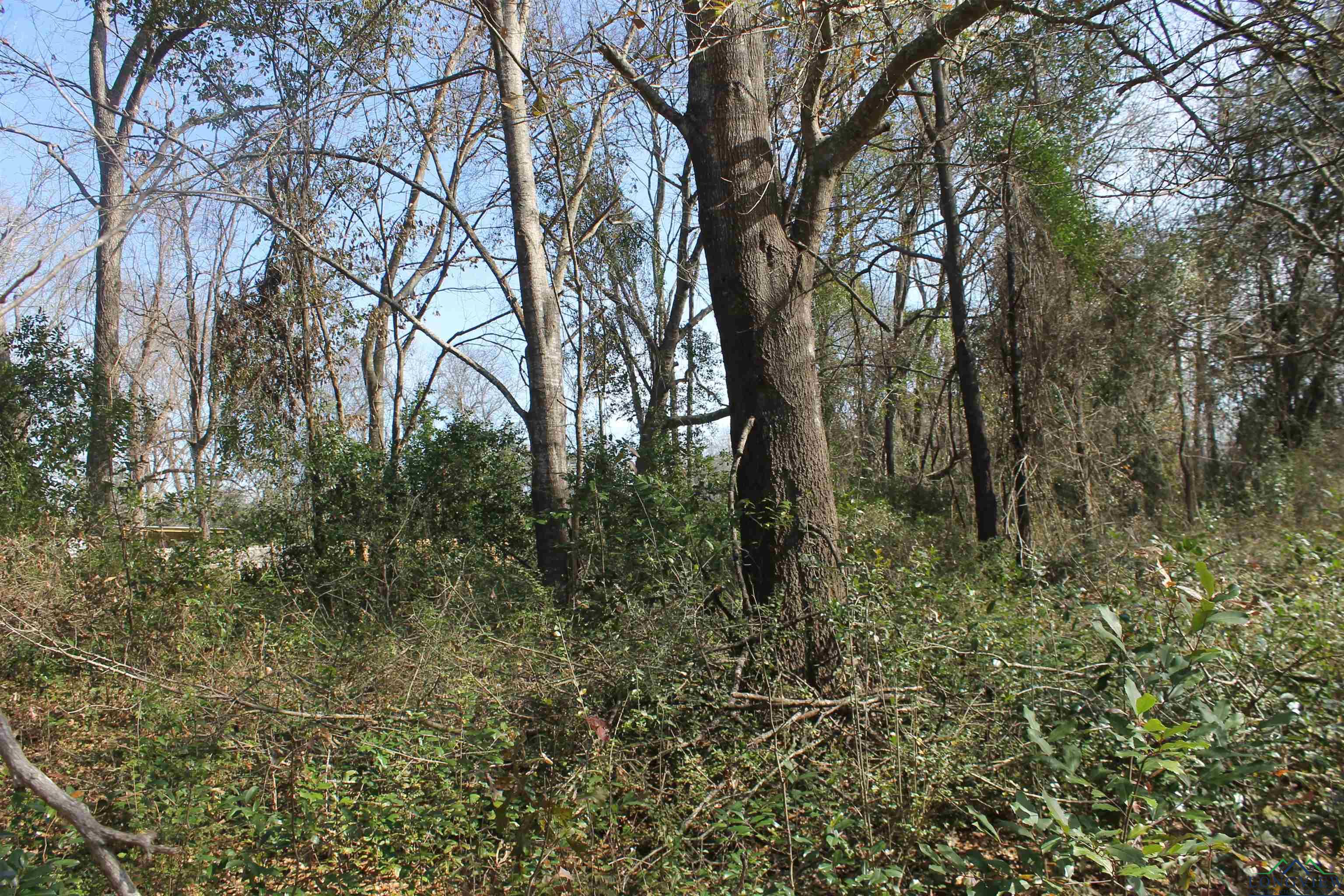 2514 Port Caddo Road, Marshall, Ohio image 6