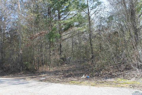 Homes For Sale - 2514 Port Caddo Road<br/> Harrison County, Marshall, TX 75672