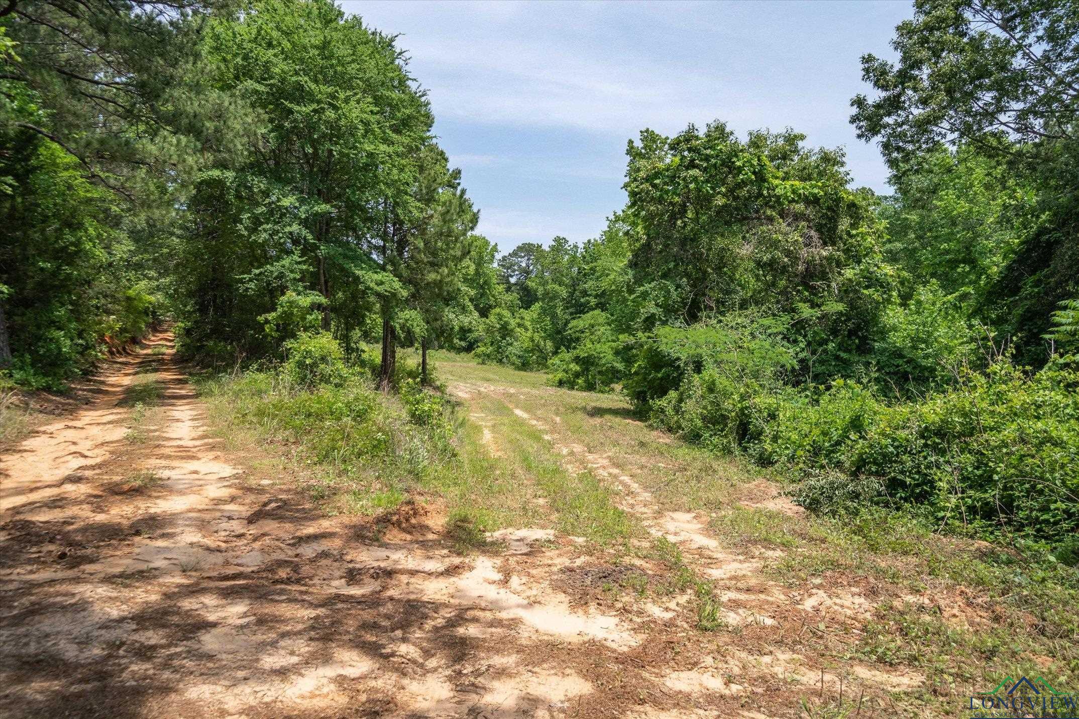 TBD Cr 4122, Jacksonville, Texas image 21