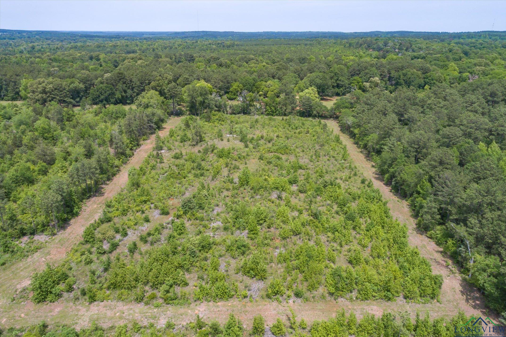 TBD Cr 4122, Jacksonville, Texas image 7