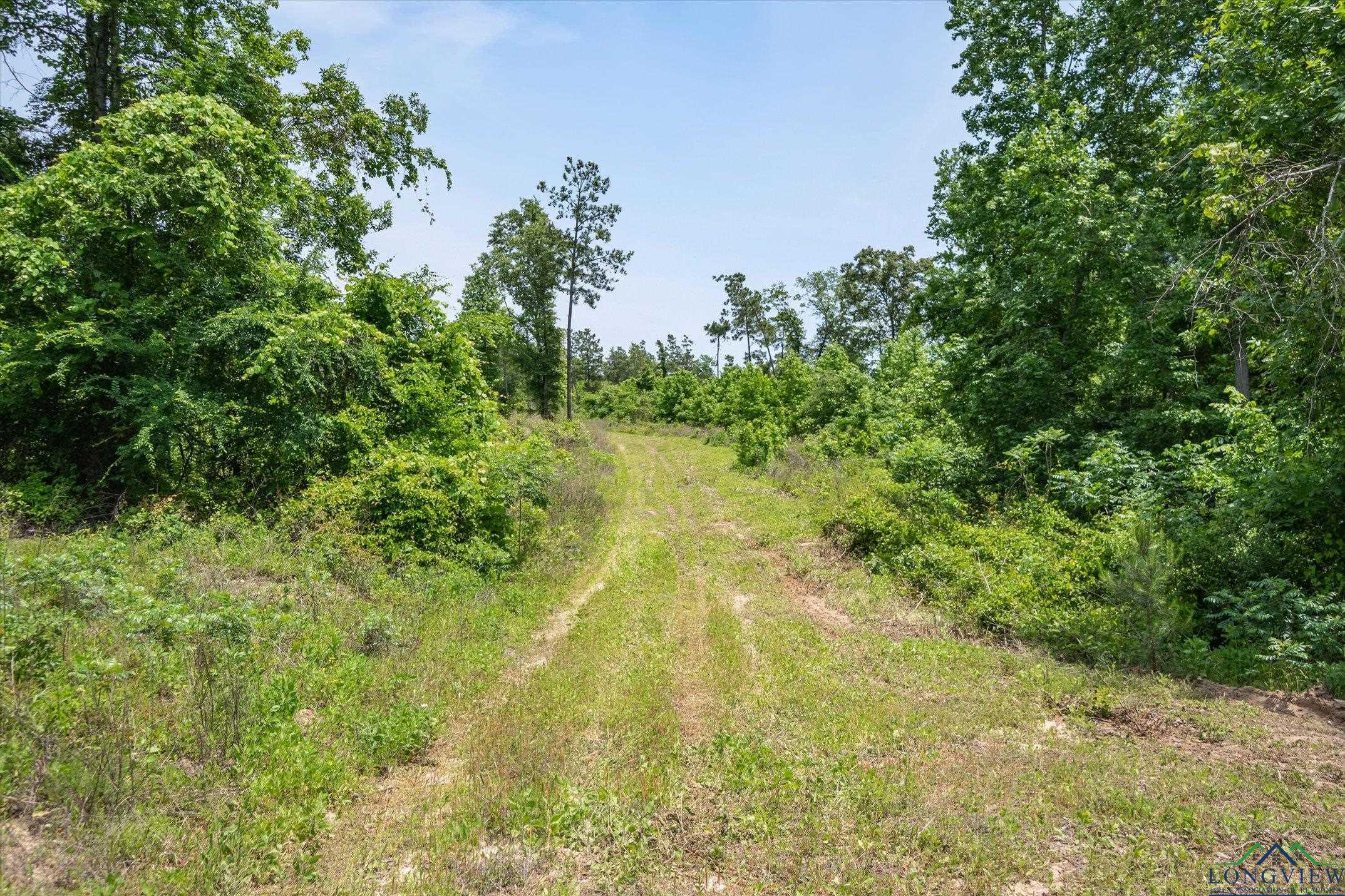 TBD Cr 4122, Jacksonville, Texas image 22