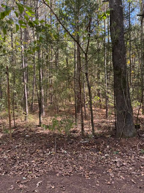 Vacant Land For Sale - 7248 Ginger Rd<br/> Upshur County, Gilmer, TX 75644