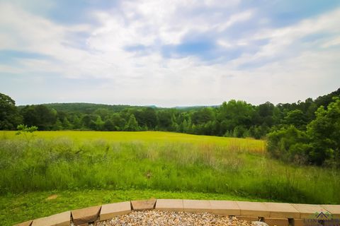 A home in Hallsville