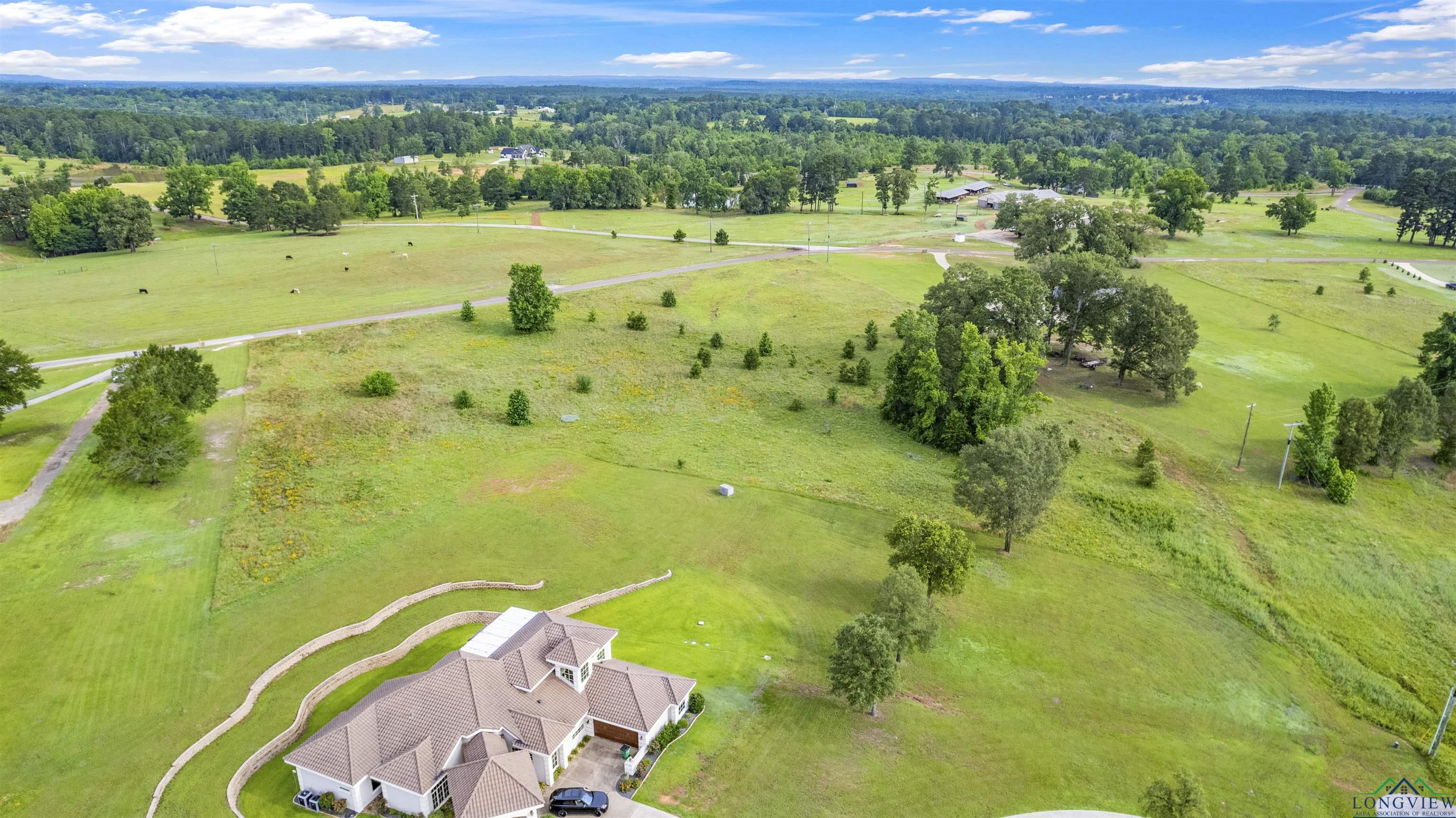 TBD Belgian St, Gilmer, Texas image 6