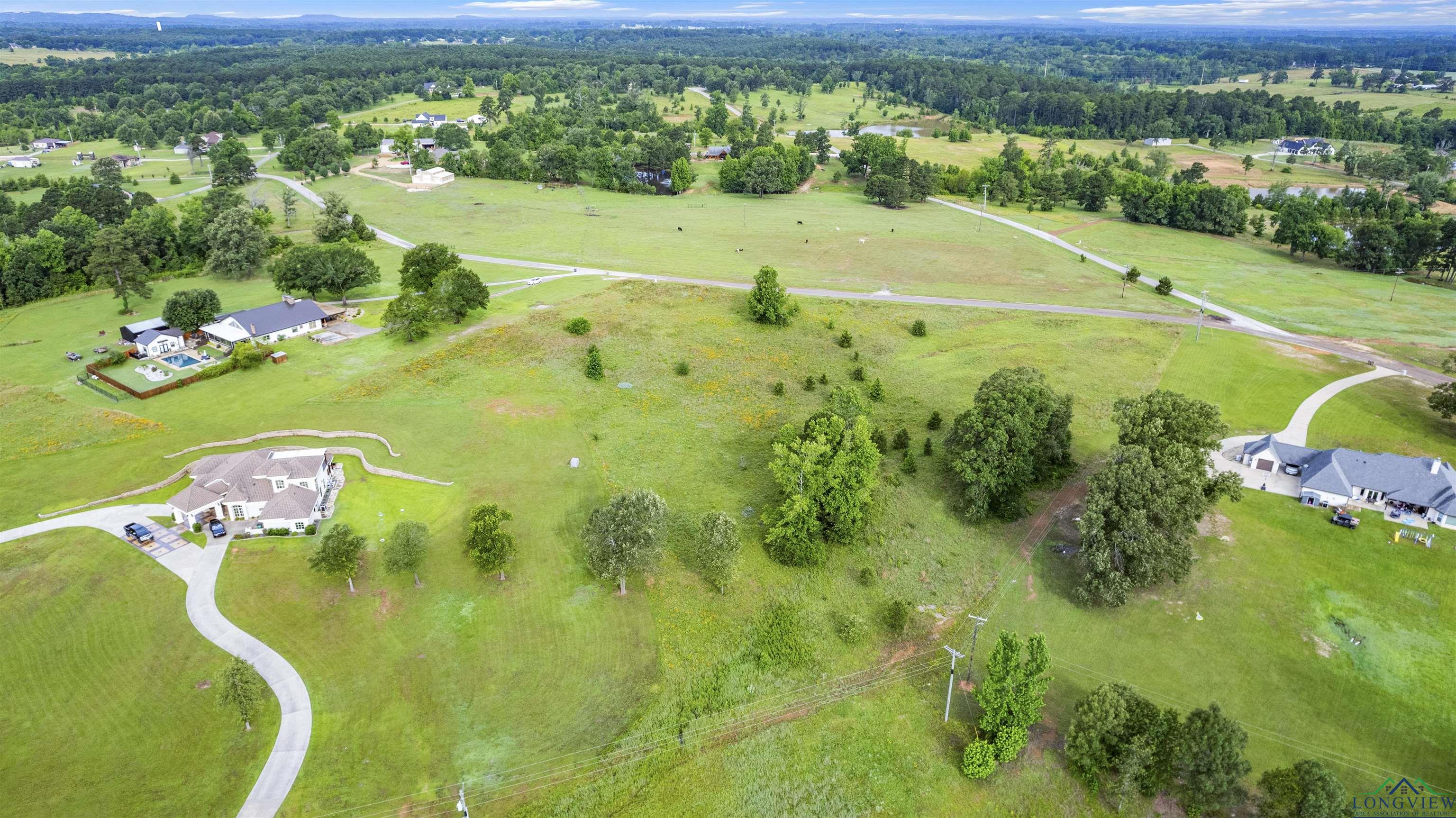 TBD Belgian St, Gilmer, Texas image 4