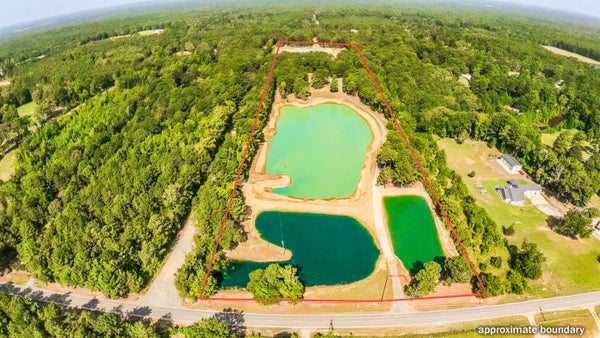 4889 COUNTY ROAD 322, DE BERRY, TX 75639 - Image e0d8a1480c4ad21e08f9fe036f129949/2725485643