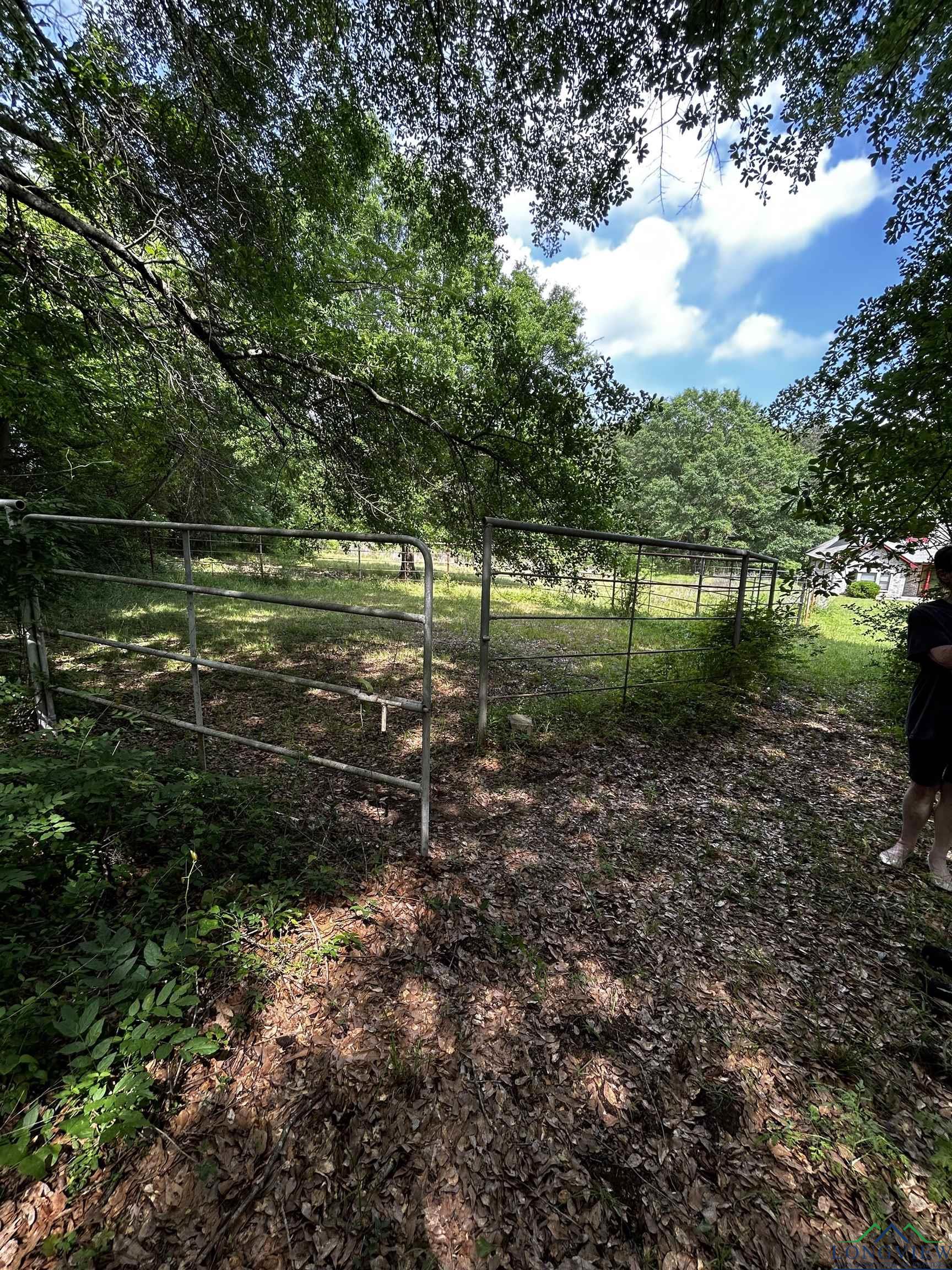 15840 E State Hwy 43, Tatum, Texas image 8
