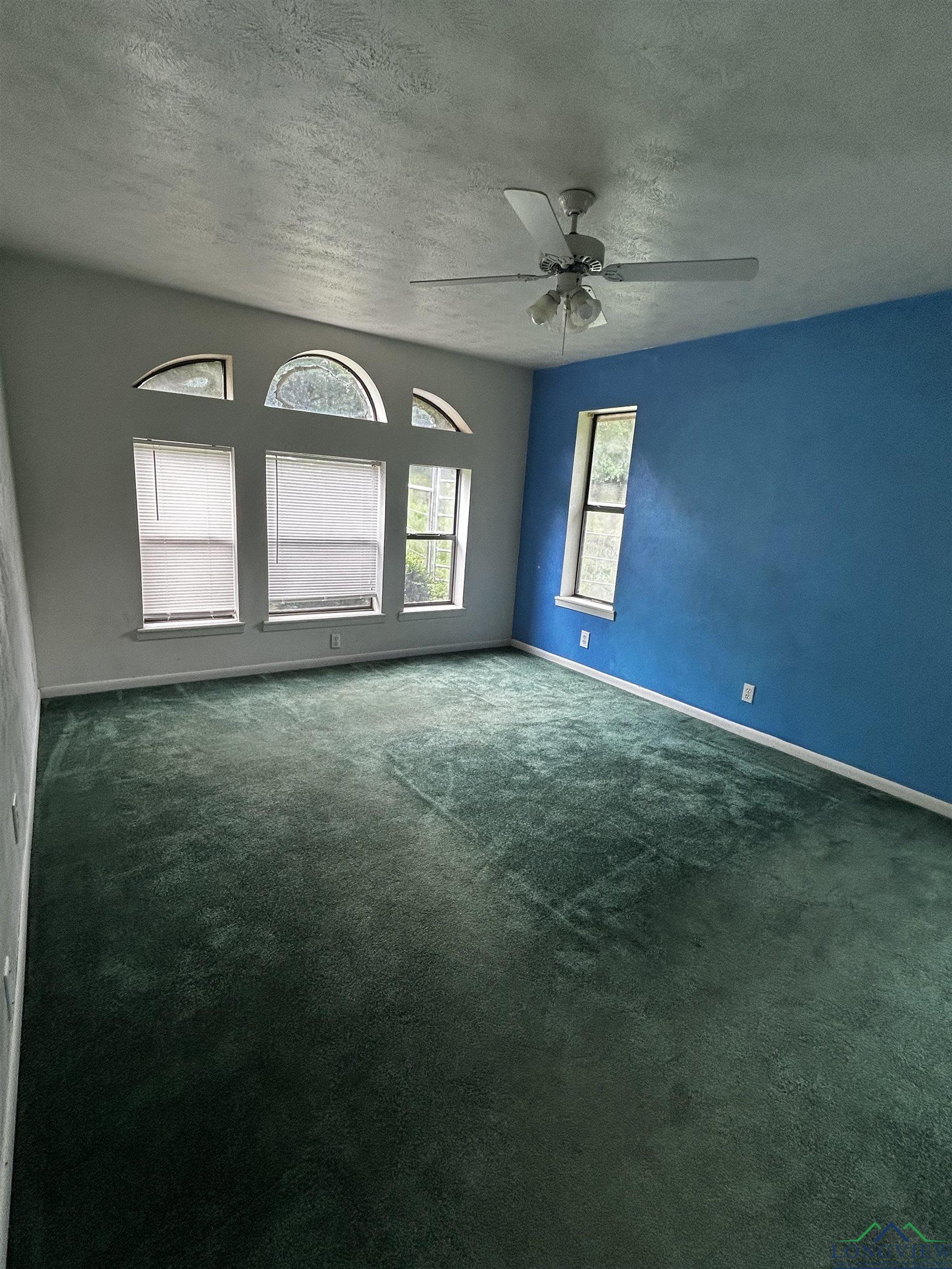 15840 E State Hwy 43, Tatum, Texas image 18