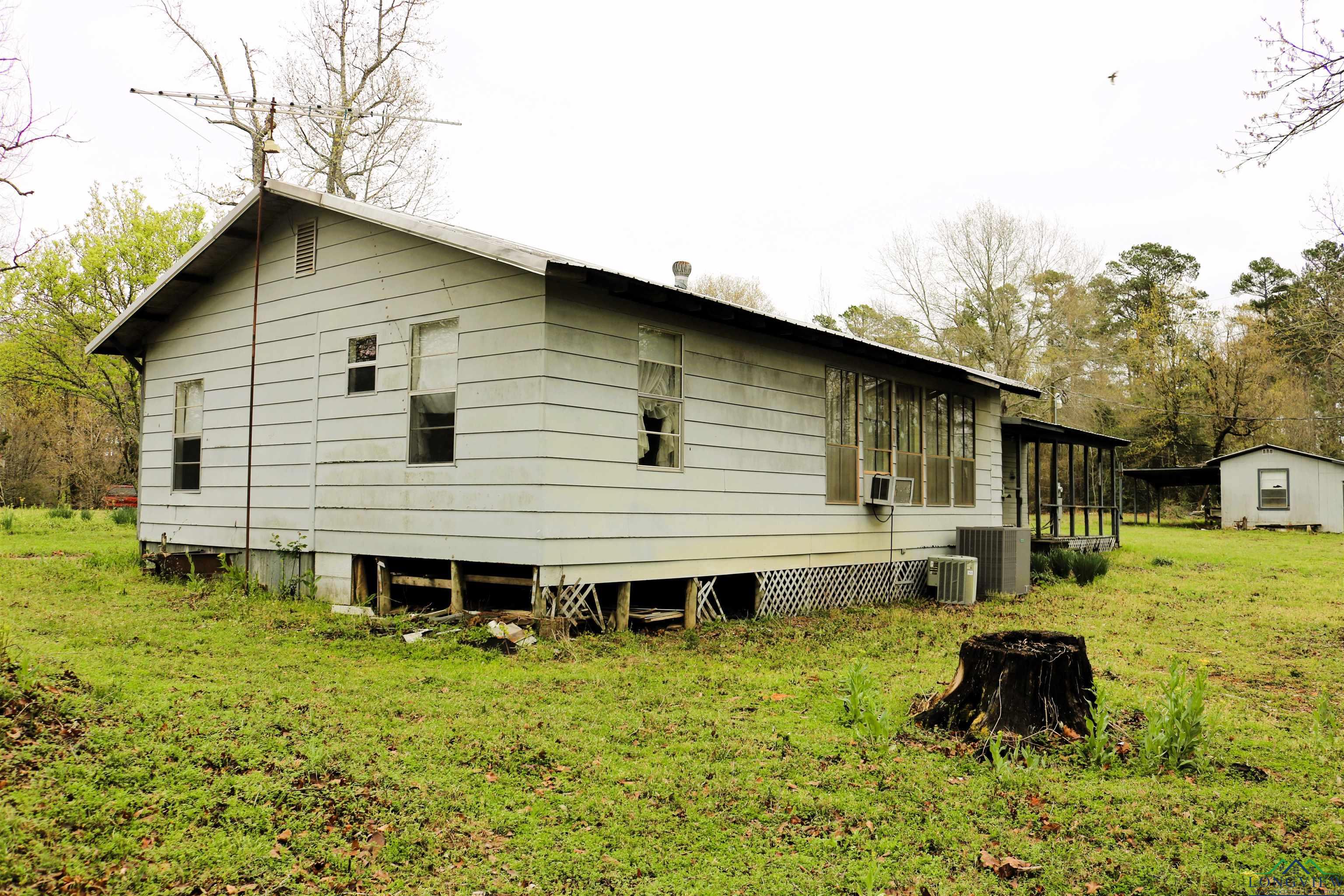 3536 Cr 1579, Avinger, Texas image 3