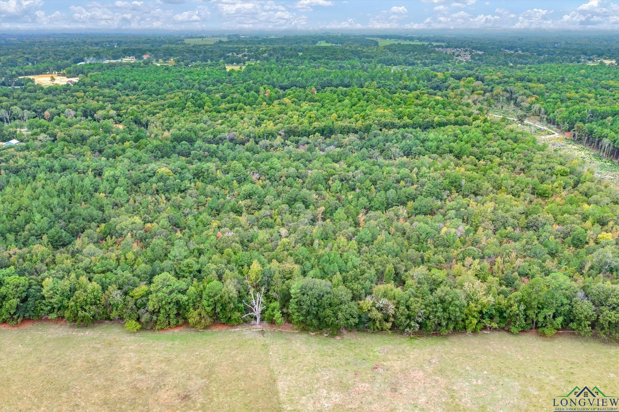 TBD (8.138 Acr) County Road 152 E, Tyler, Texas image 9