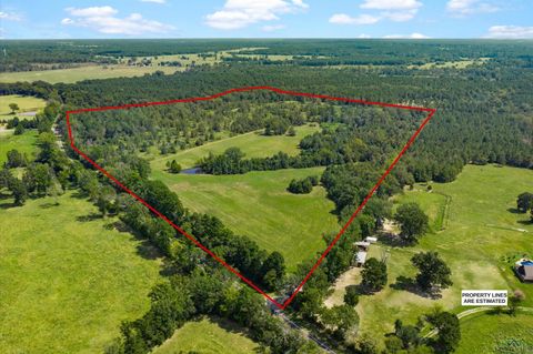 Vacant Land For Sale - TBD Fm 1798 E<br/> Mount Enterprise, TX 75681