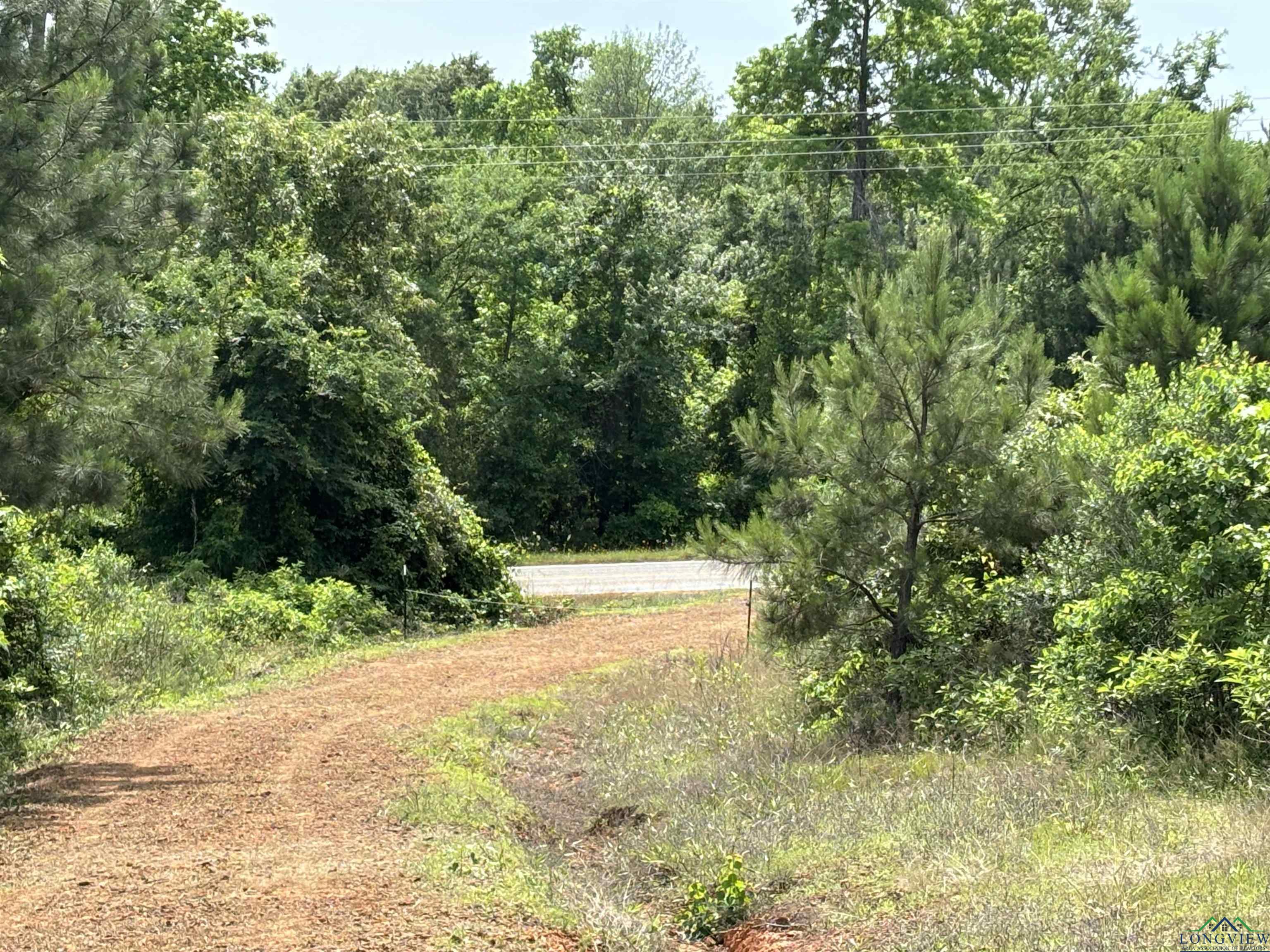 17080 Fm 729, Avinger, Texas image 9