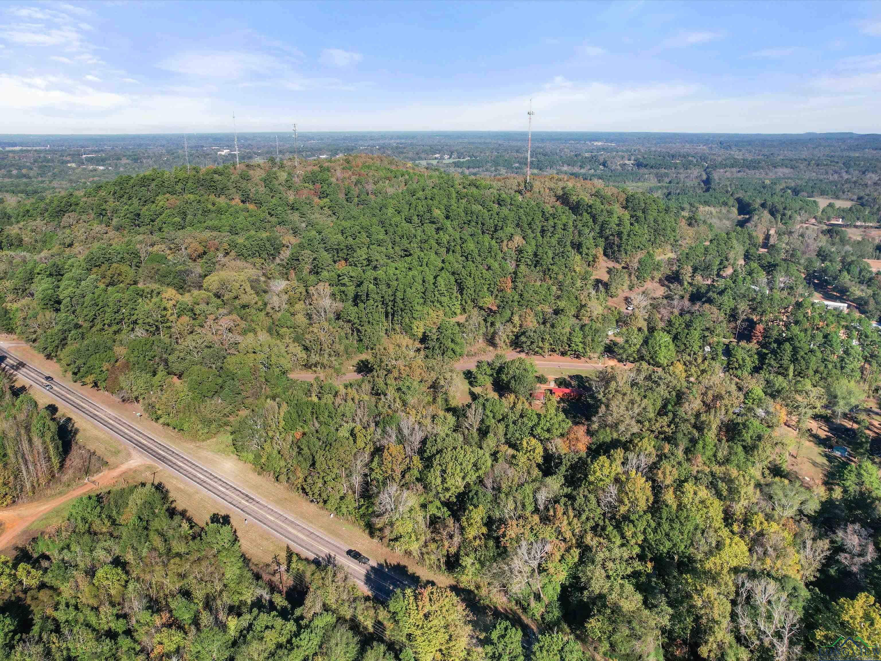 1716 Day Lily Rd, Gilmer, Texas image 7