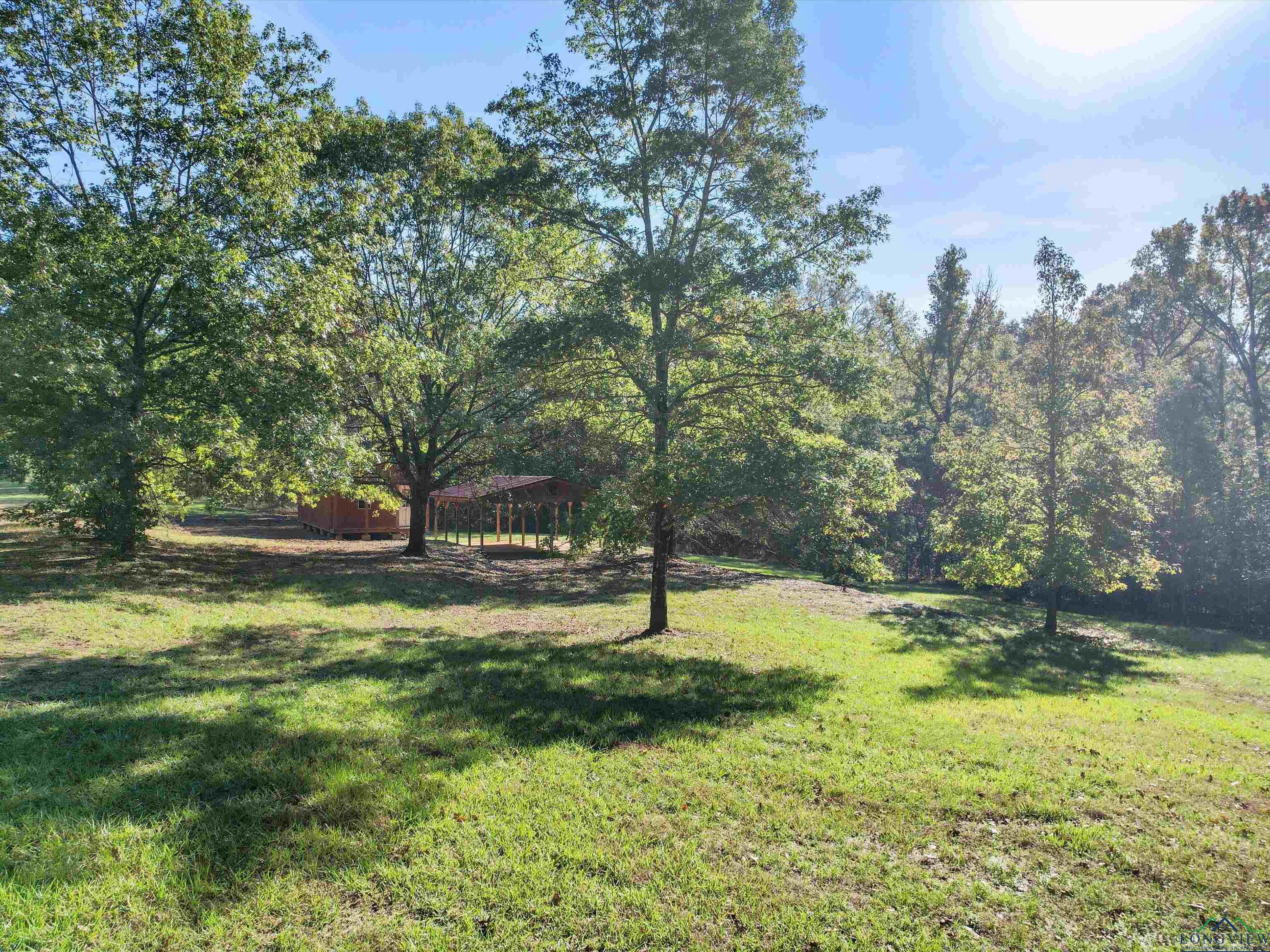 1716 Day Lily Rd, Gilmer, Texas image 8