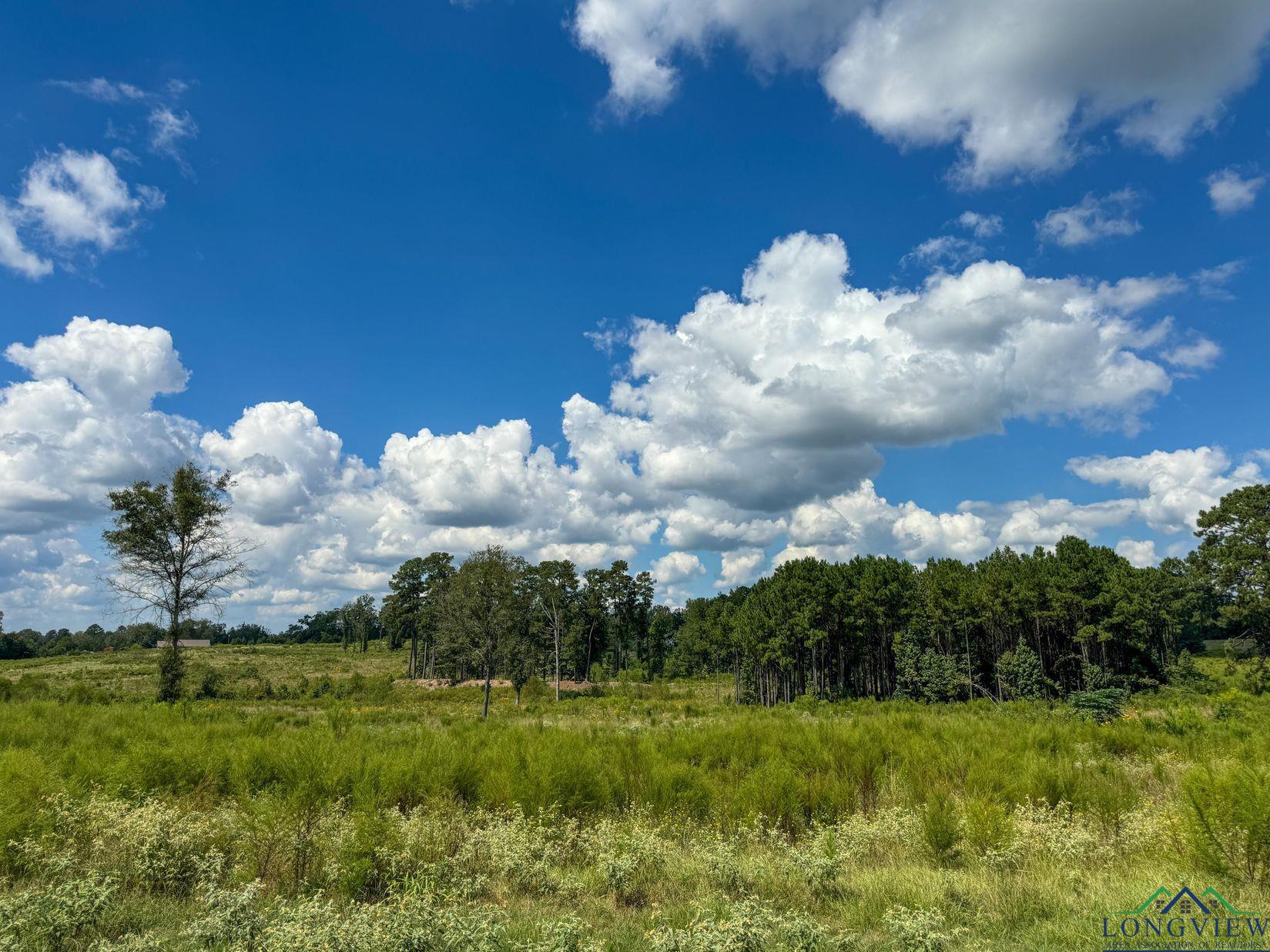 TBD Cr 4919, Bloomburg, Texas image 22