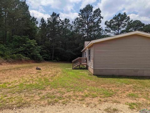 A home in Hallsville