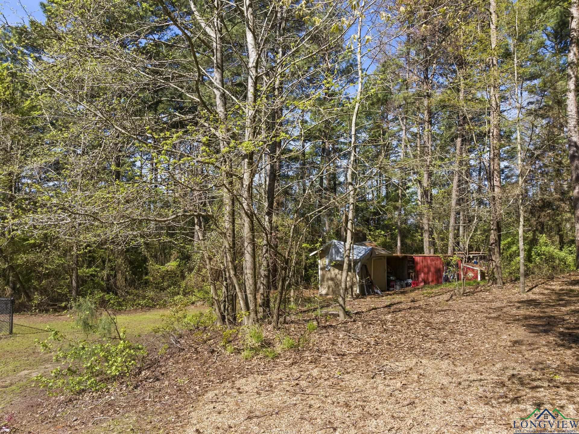 760 County Road 4112, Daingerfield, Texas image 9